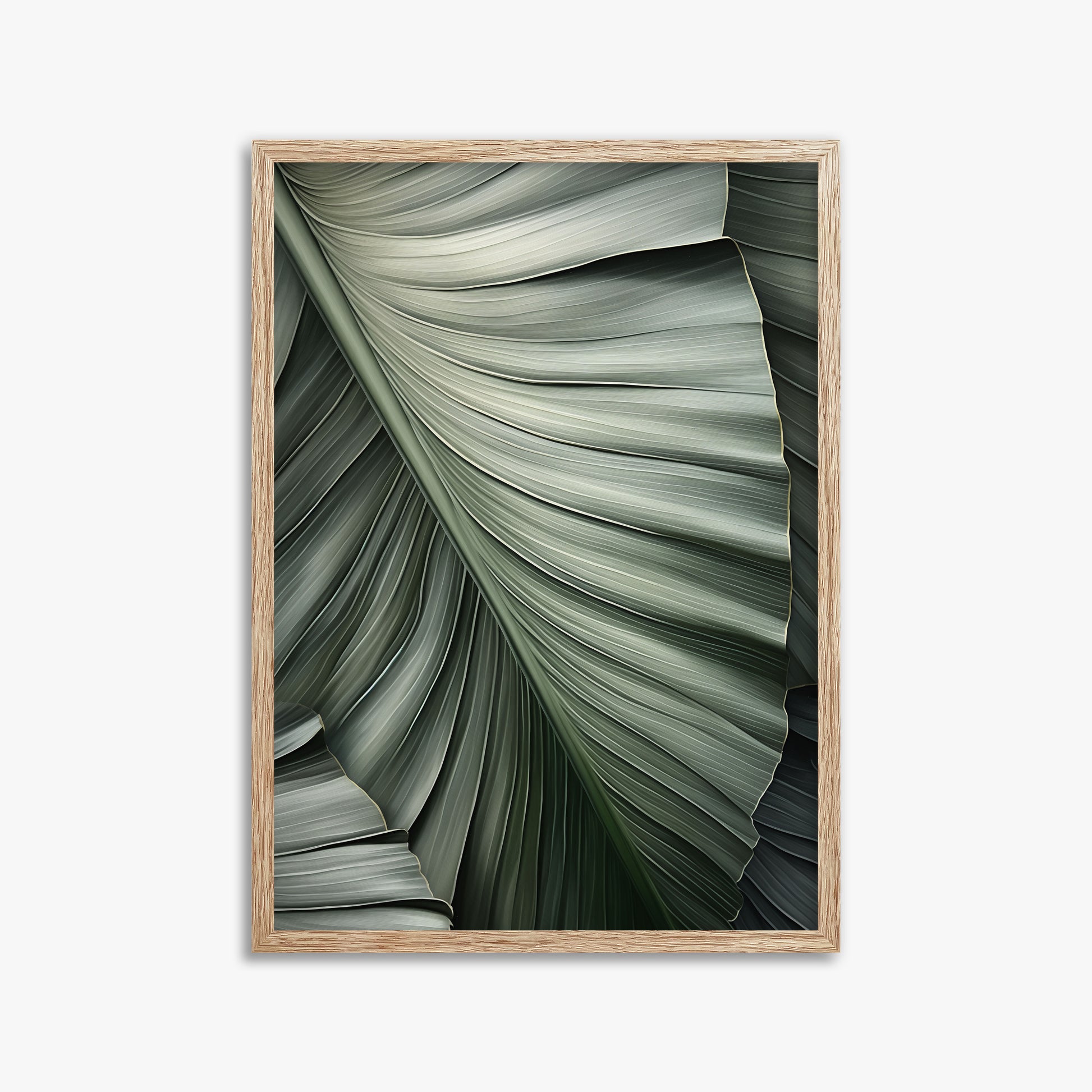 Palm Canopy, 50x70cm Framed Poster With Raw Oak Frame