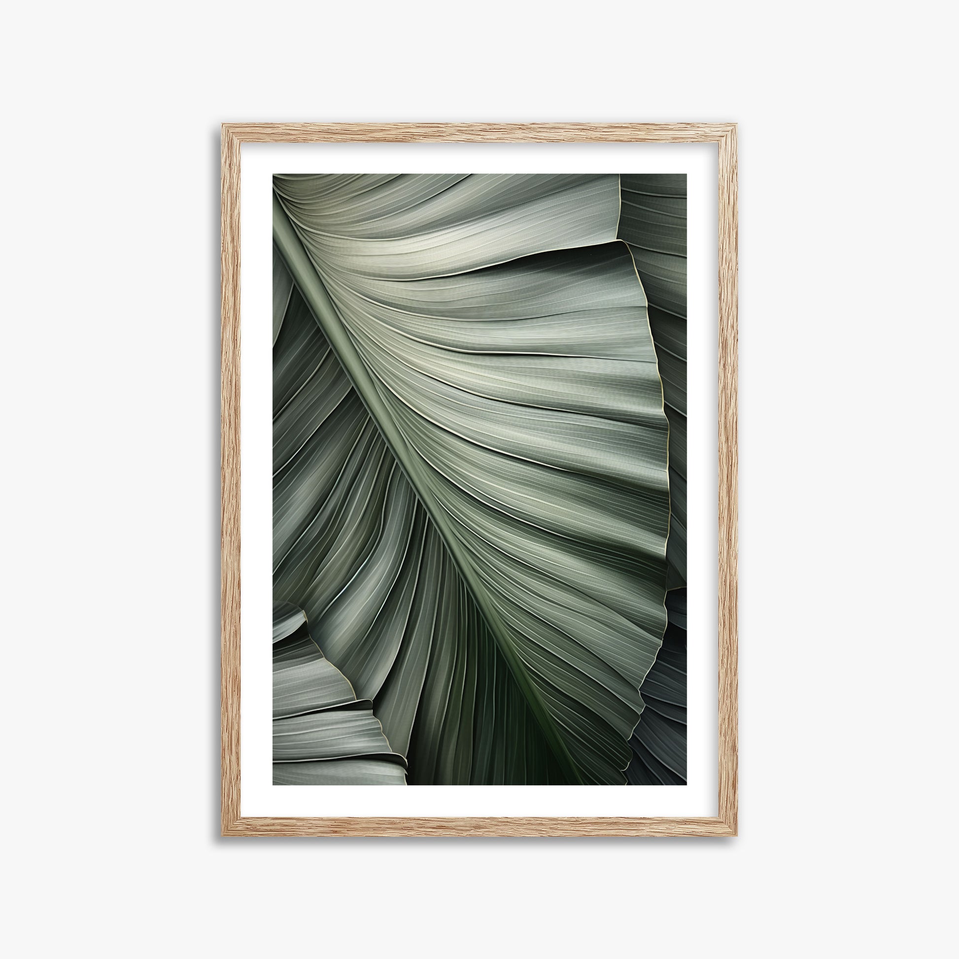 Palm Canopy, 50x70cm Framed Poster With Raw Oak Frame