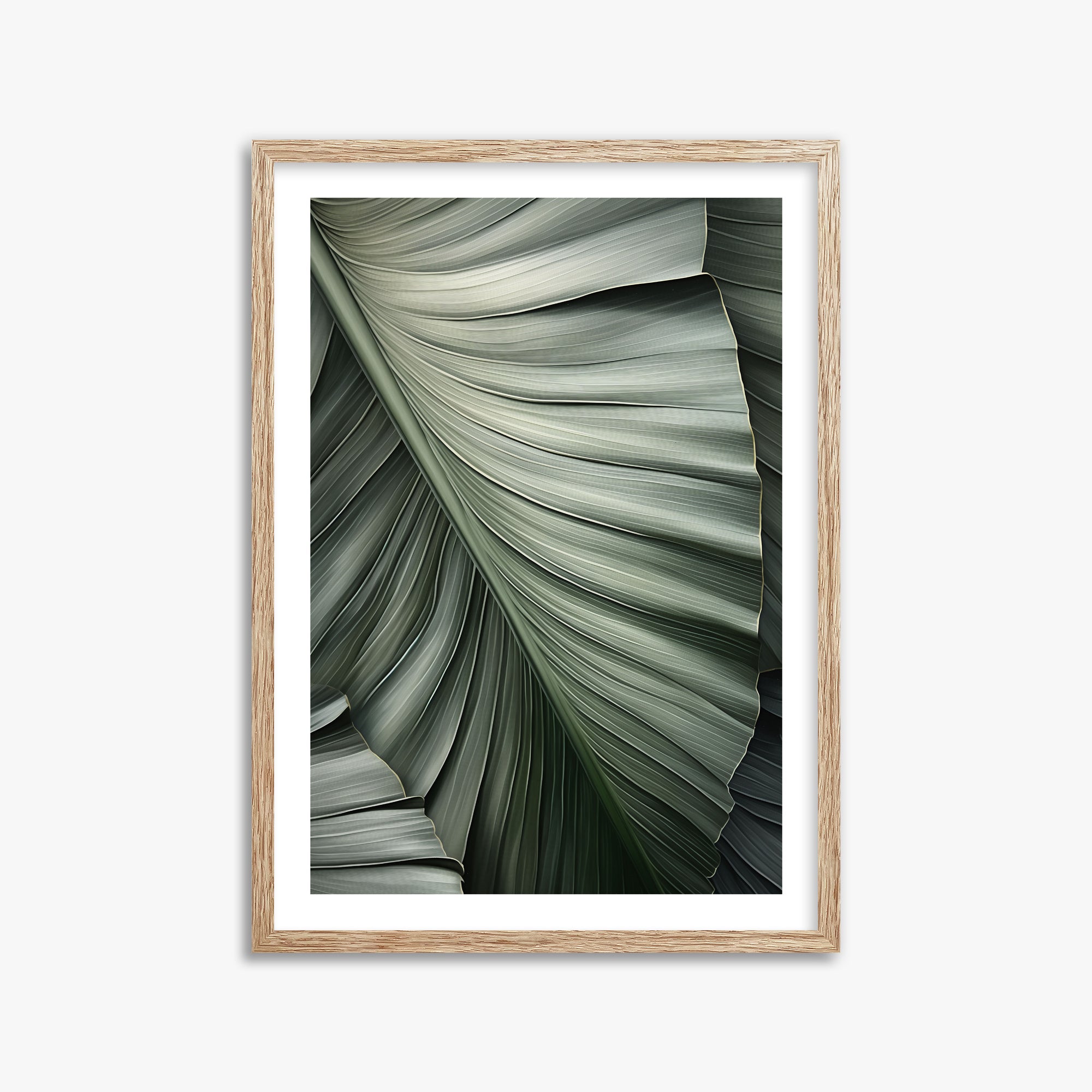 Palm Canopy, 50x70cm Framed Poster With Raw Oak Frame