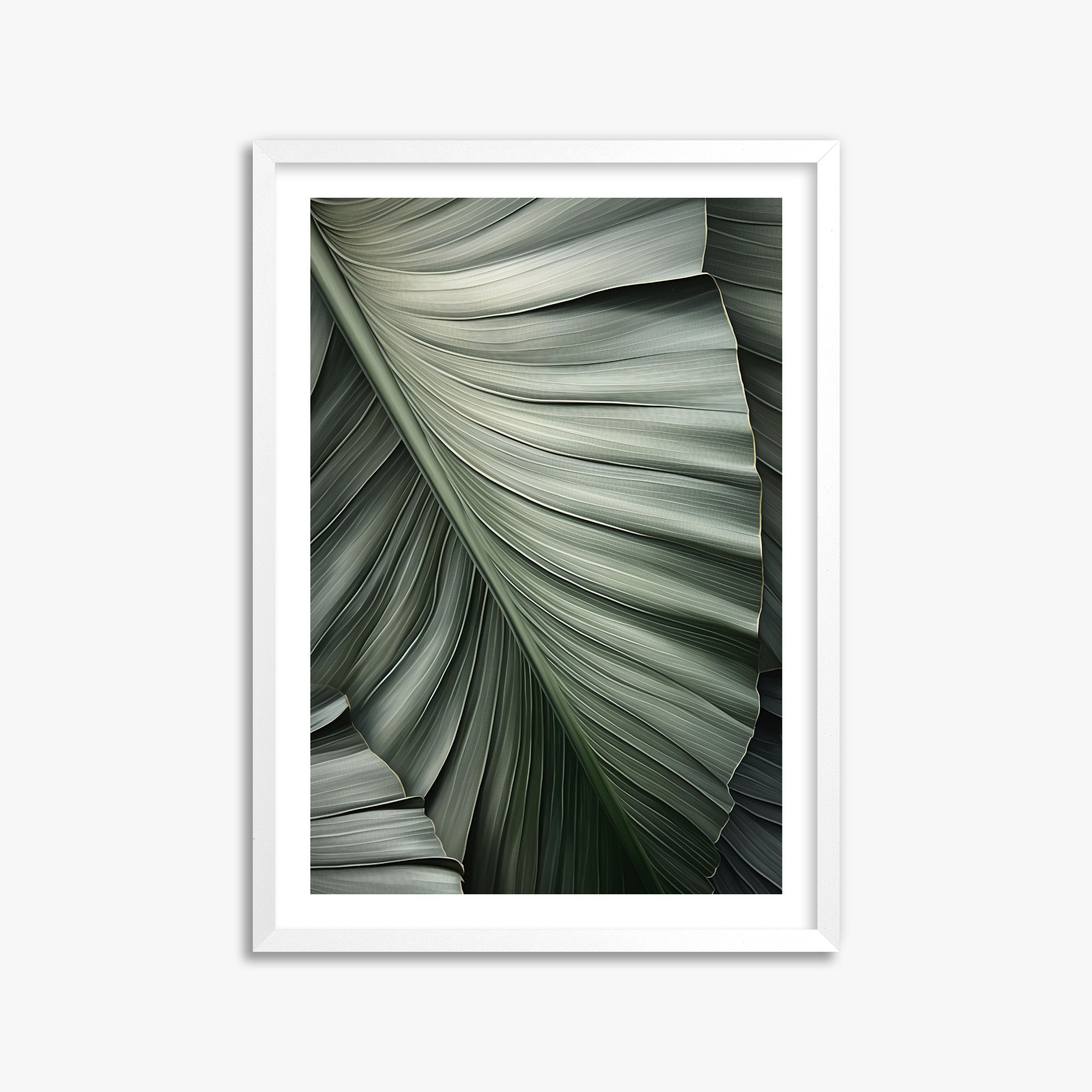 Palm Canopy, 50x70cm Framed Poster With White Frame