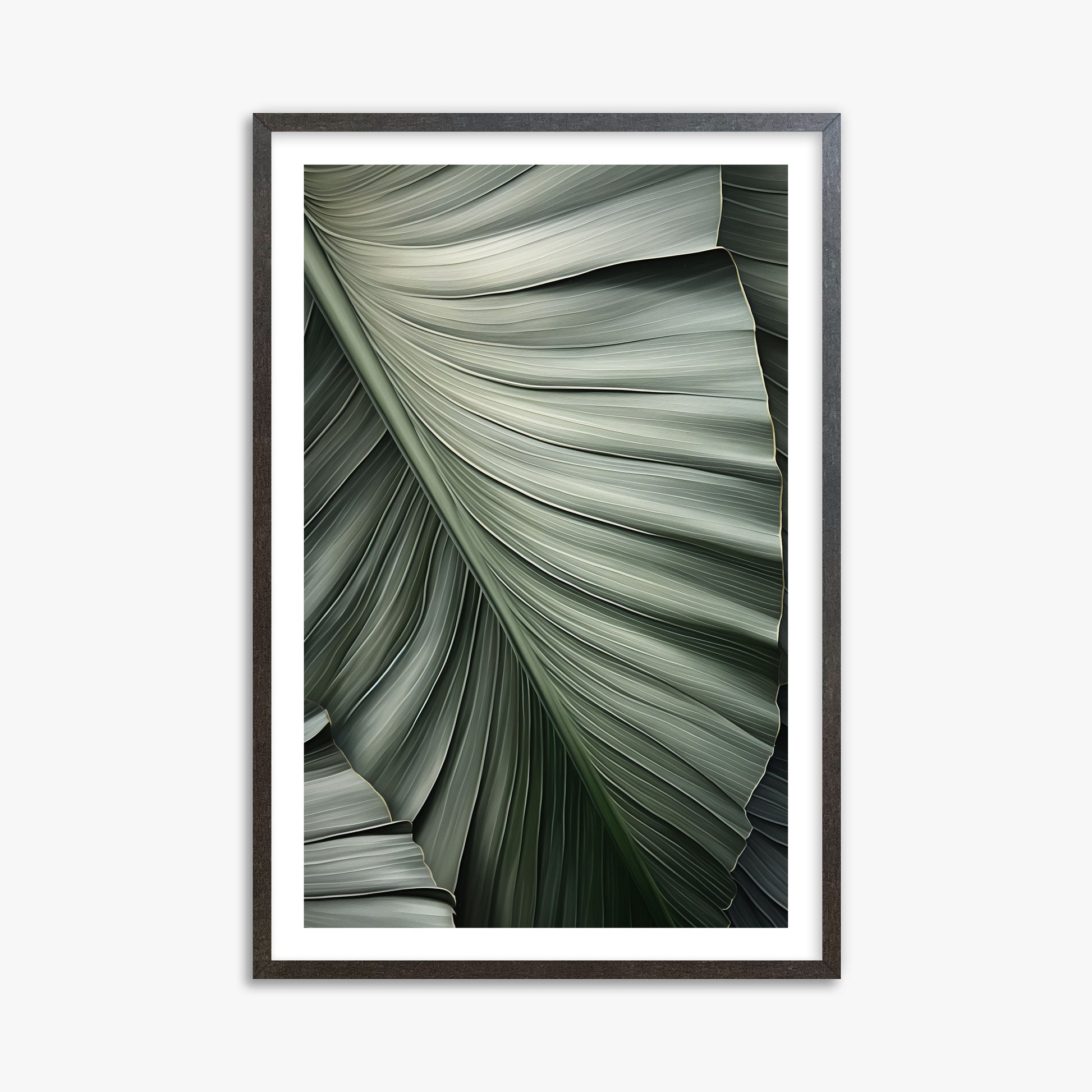Palm Canopy, 61x91cm Framed Poster With Espresso Frame