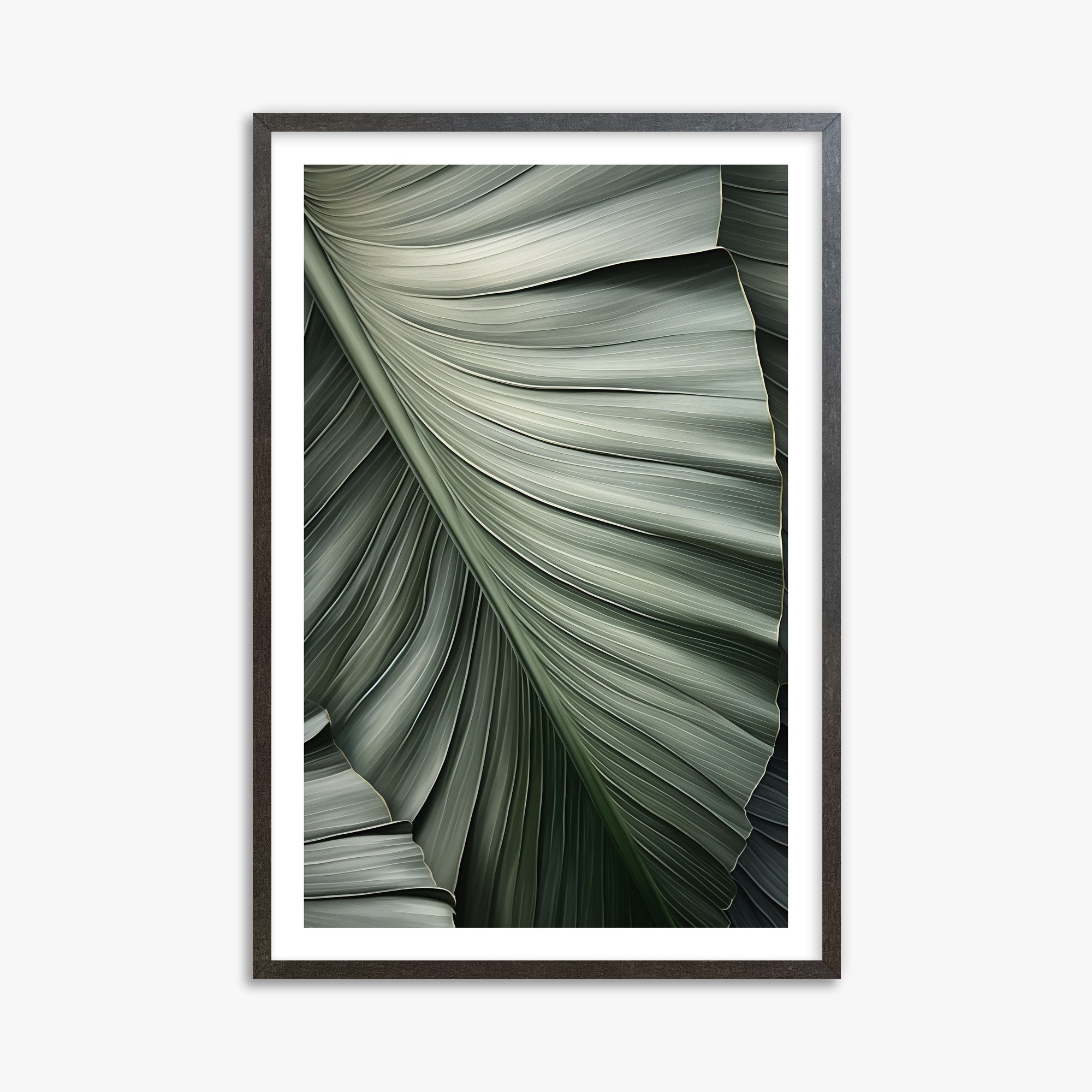 Palm Canopy, 61x91cm Framed Poster With Espresso Frame