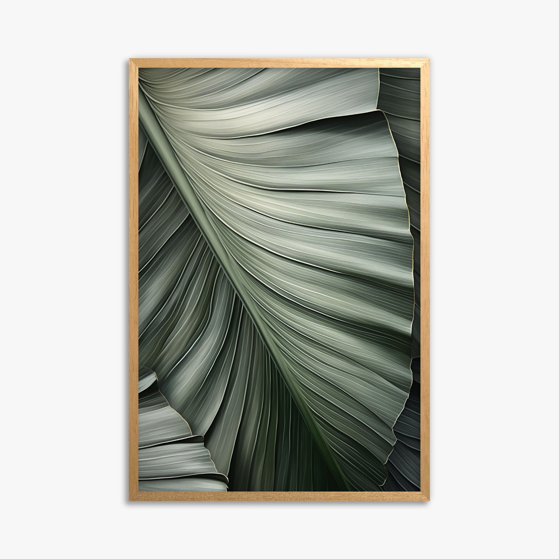 Palm Canopy, 61x91cm Framed Poster With Oak Frame