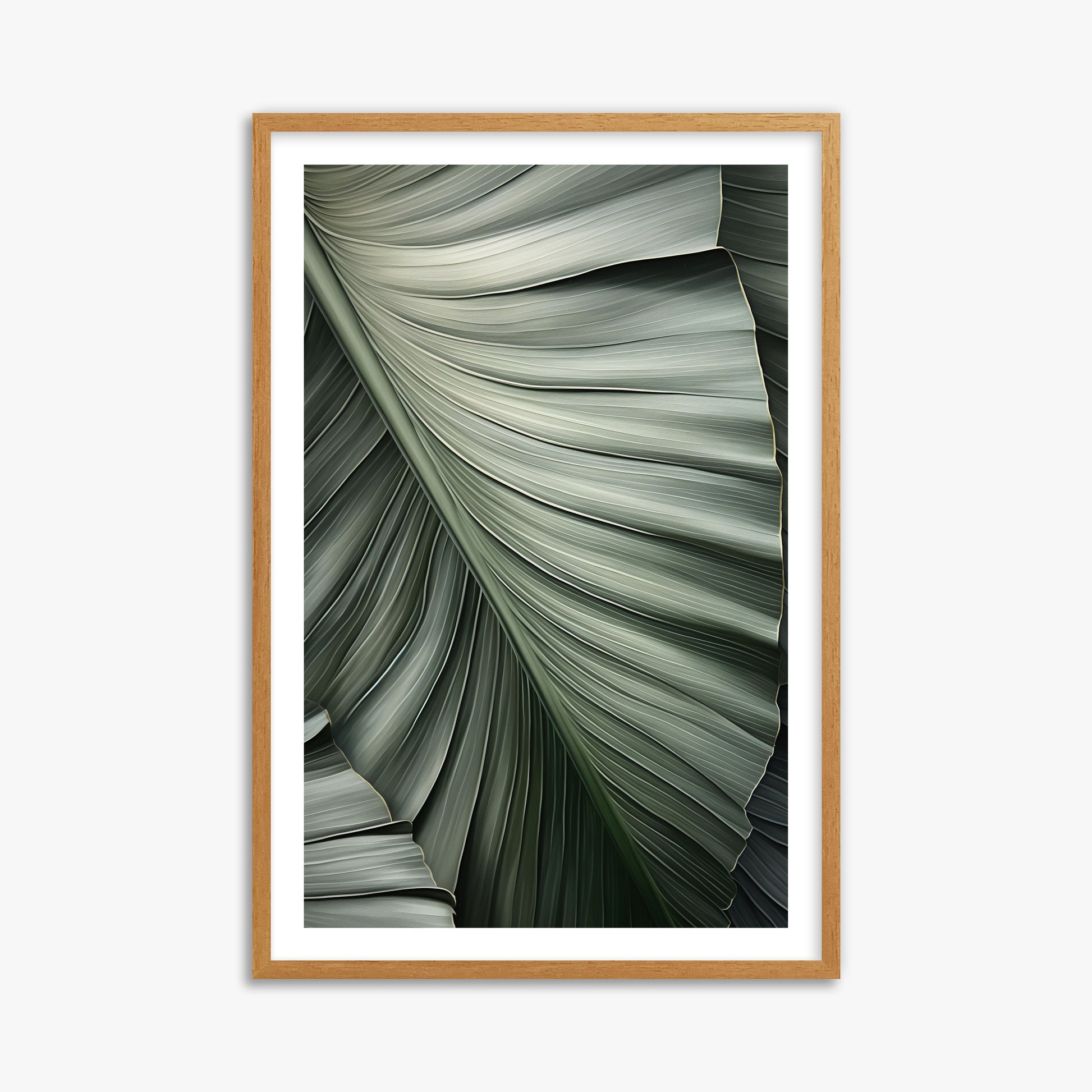 Palm Canopy, 61x91cm Framed Poster With Oak Frame