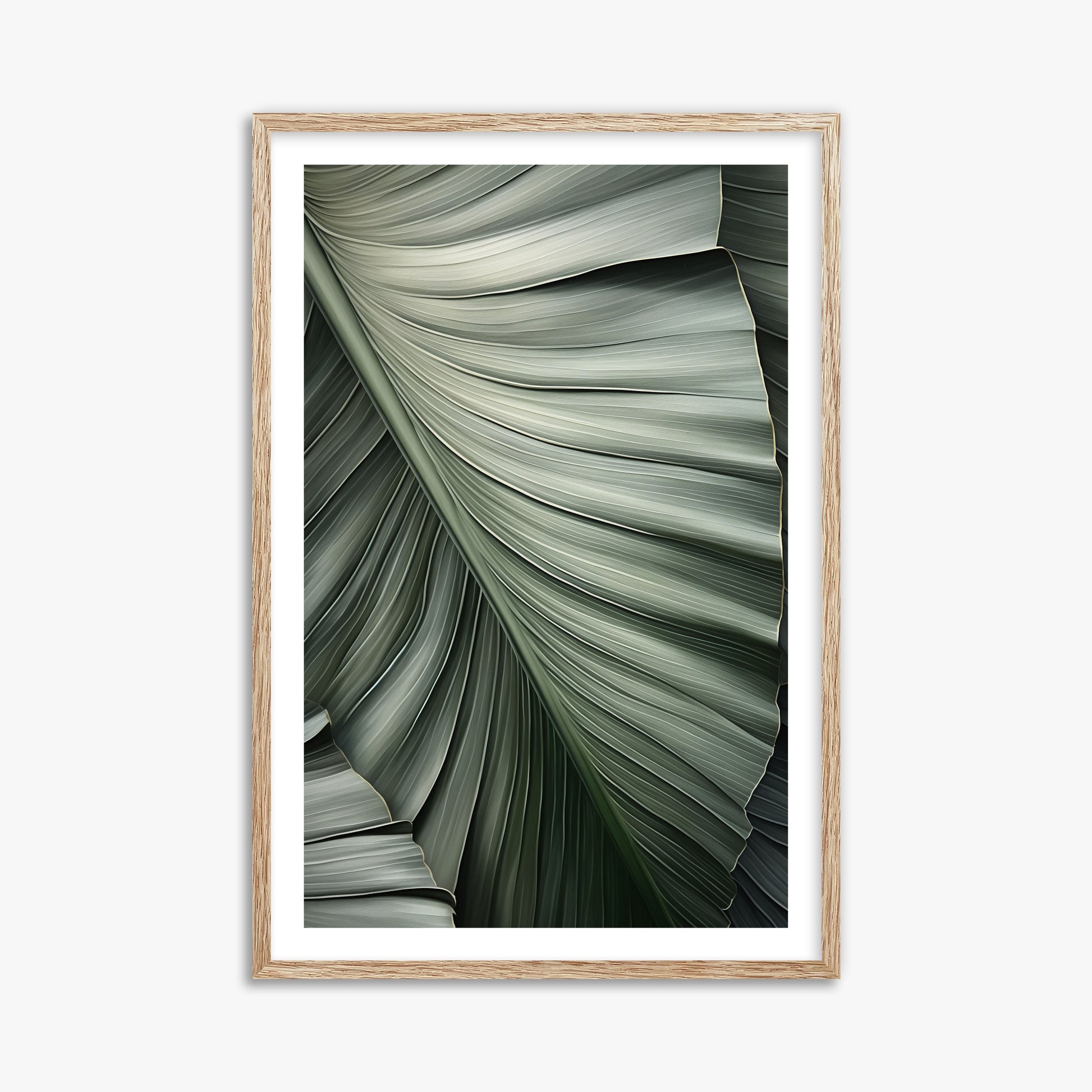 Palm Canopy, 61x91cm Framed Poster With Raw Oak Frame