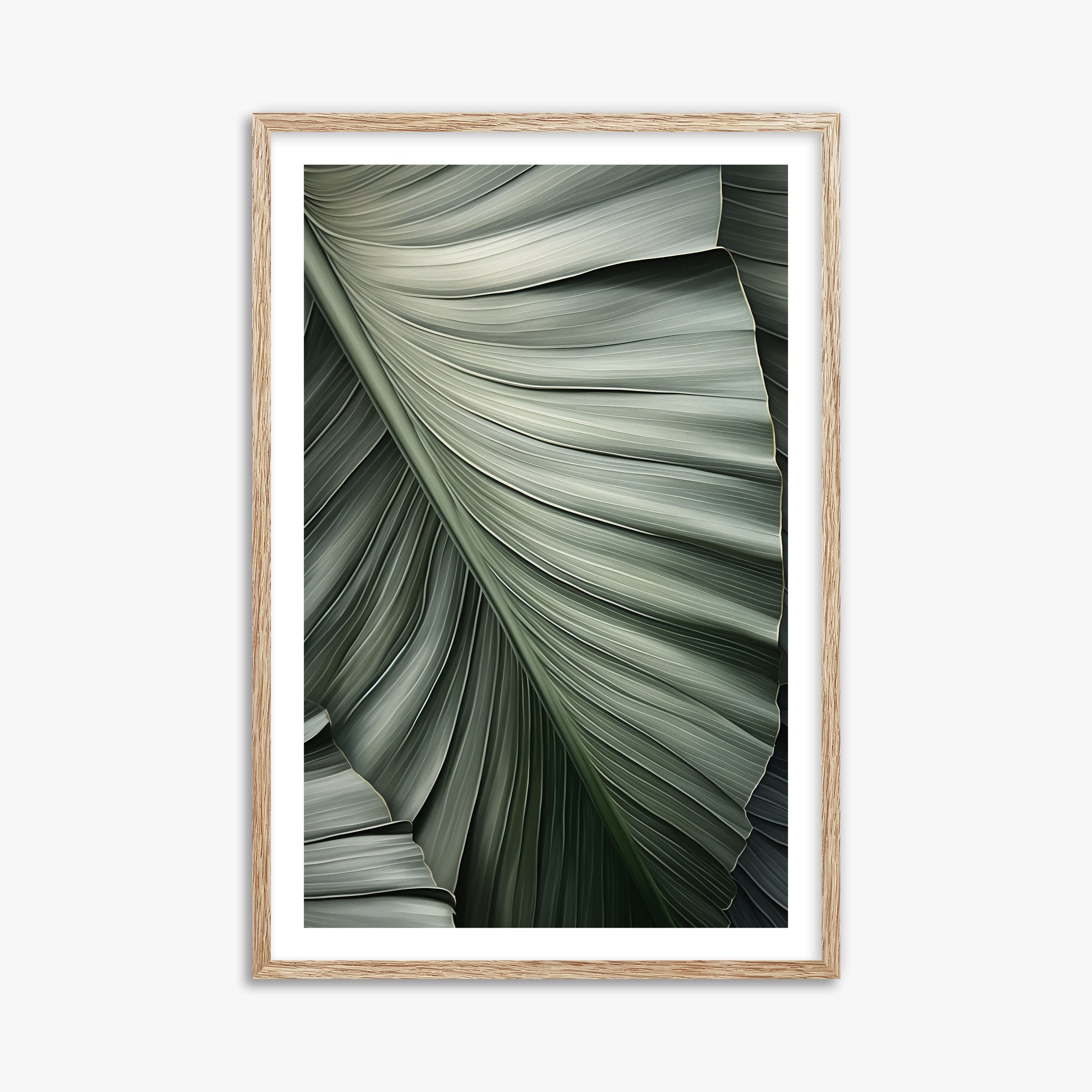 Palm Canopy, 61x91cm Framed Poster With Raw Oak Frame