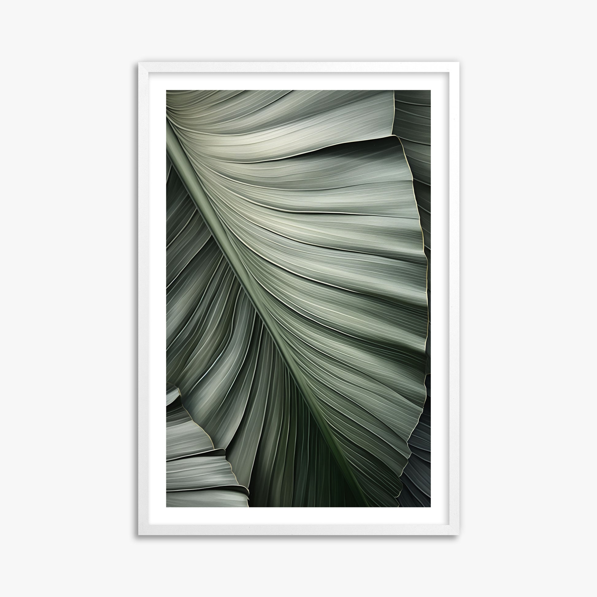 Palm Canopy, 61x91cm Framed Poster With White Frame