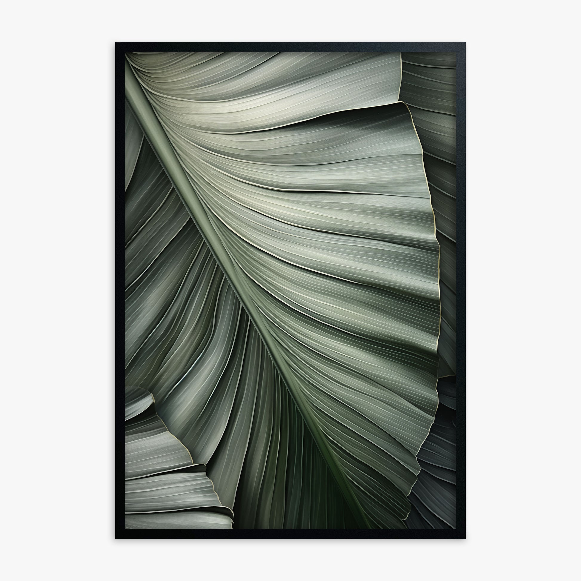 Palm Canopy, Black Framed Poster With Black Frame
