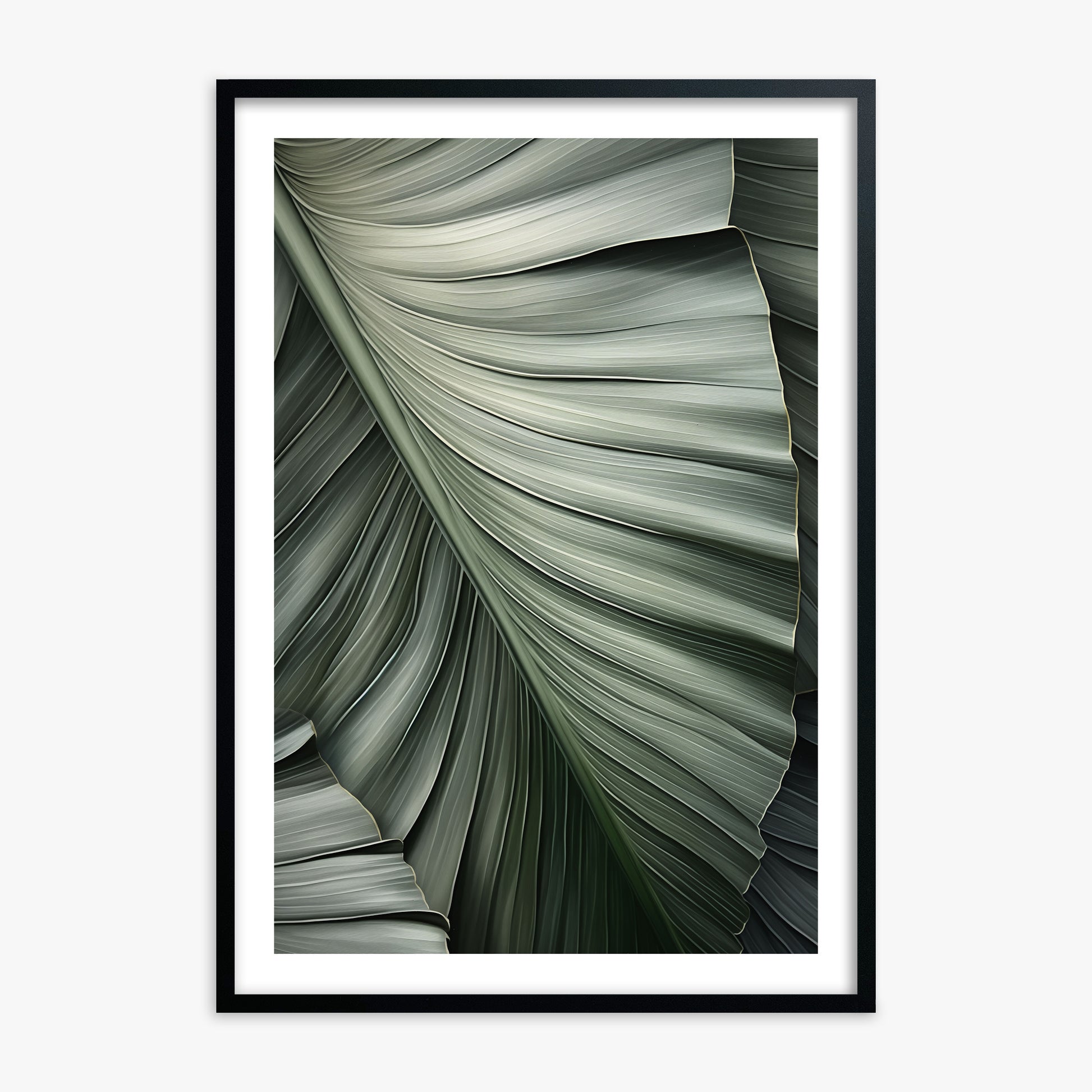 Palm Canopy, 70x100cm Framed Poster With Black Frame