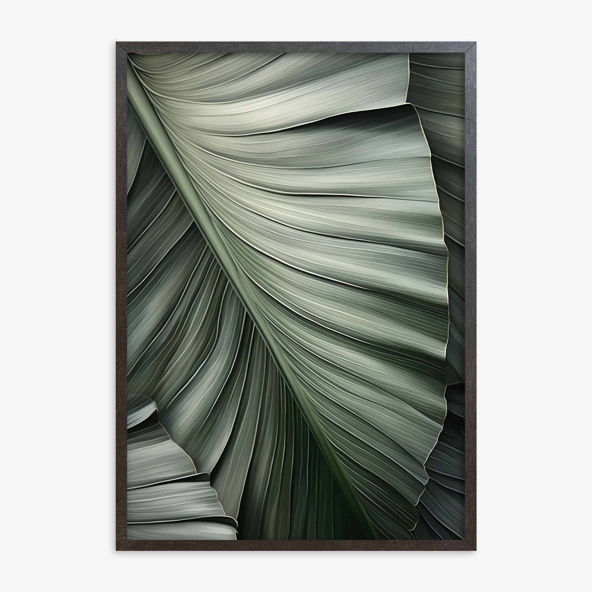 Palm Canopy, 70x100cm Framed Poster With Espresso Frame