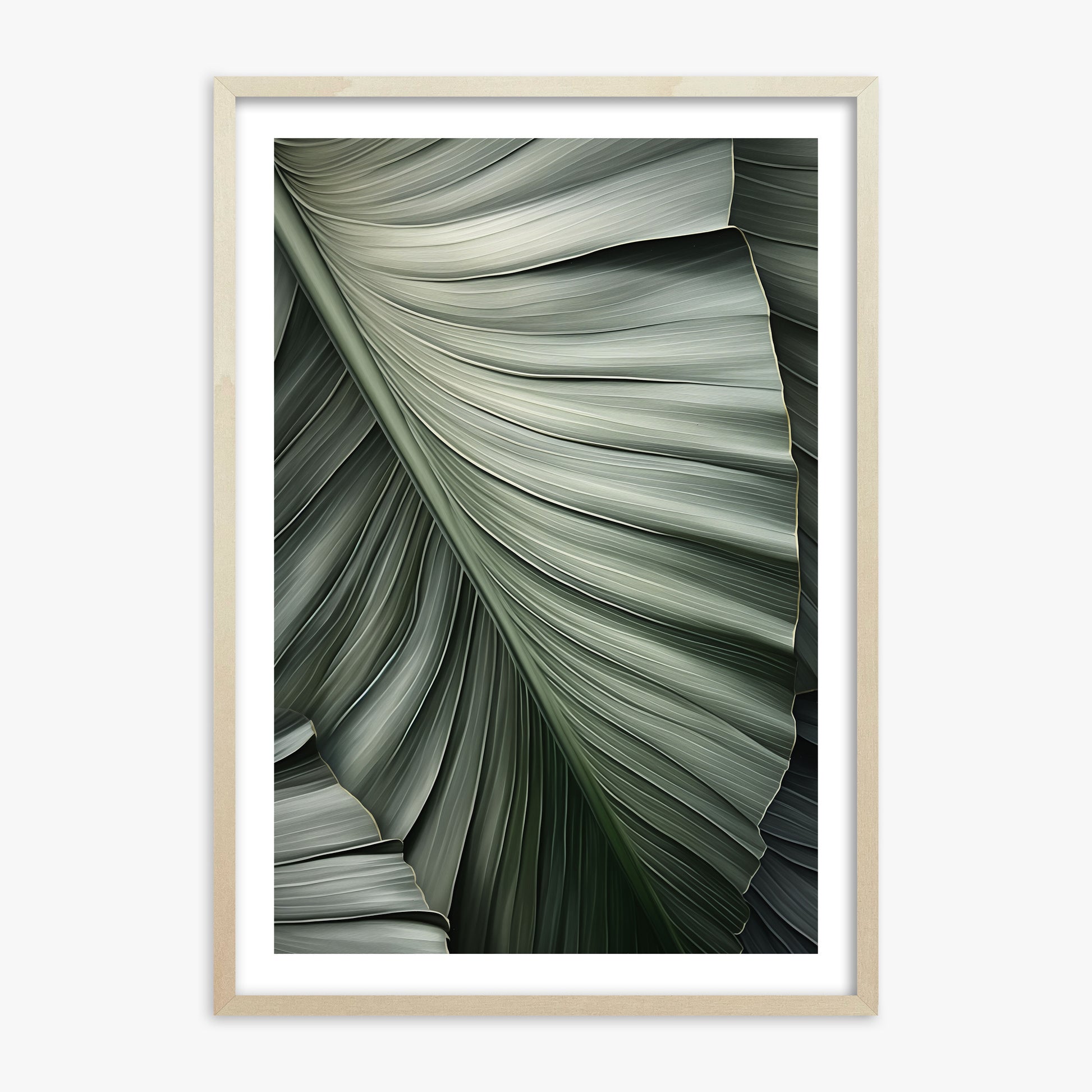Palm Canopy, 70x100cm Framed Poster With Lime Wood Frame