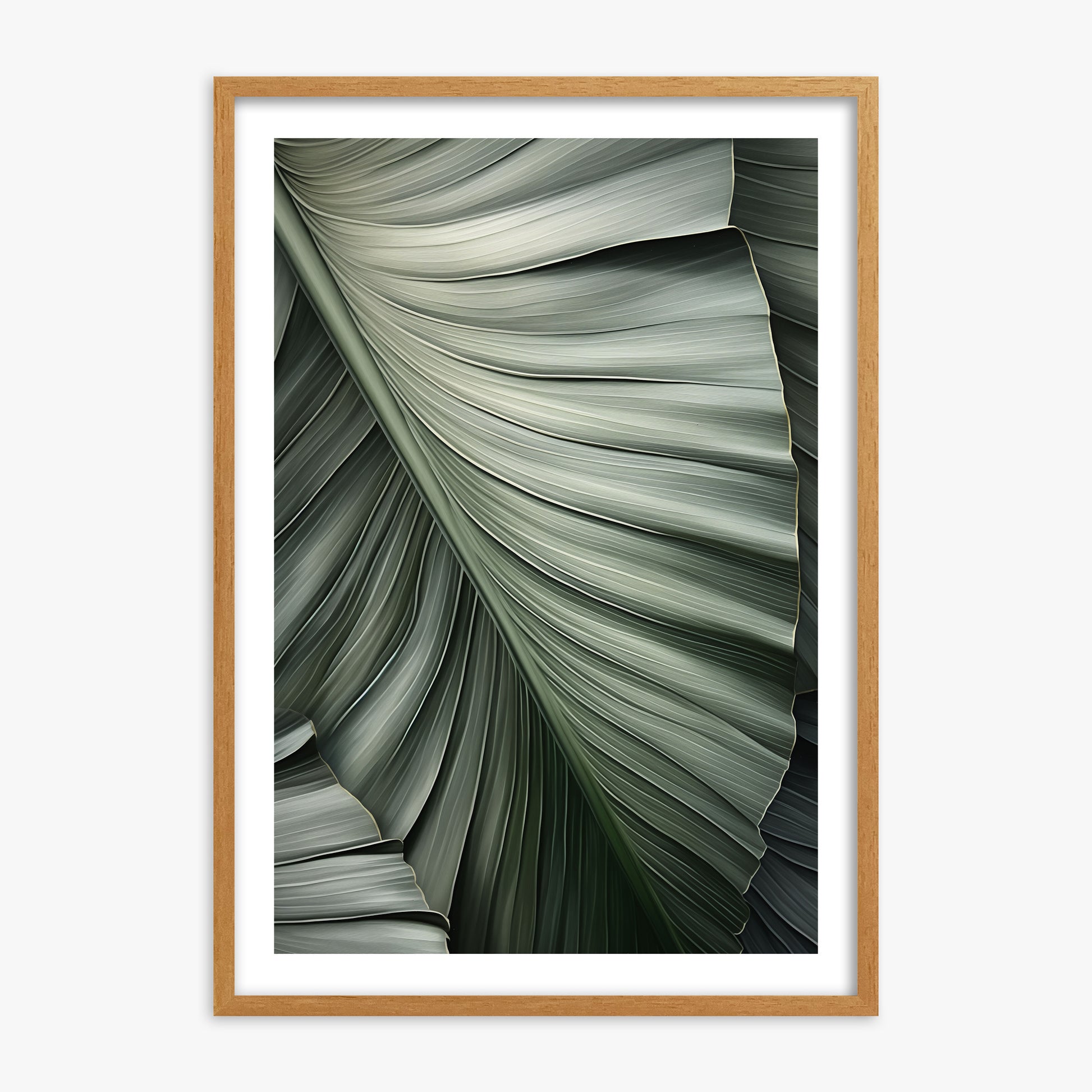 Palm Canopy, 70x100cm Framed Poster With Oak Frame