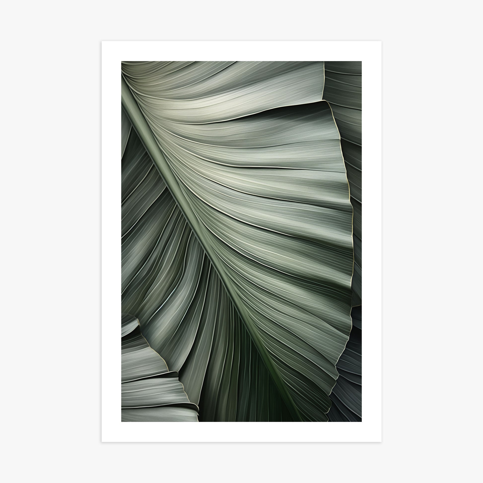 Palm Canopy, 70x100cm Poster Unframed