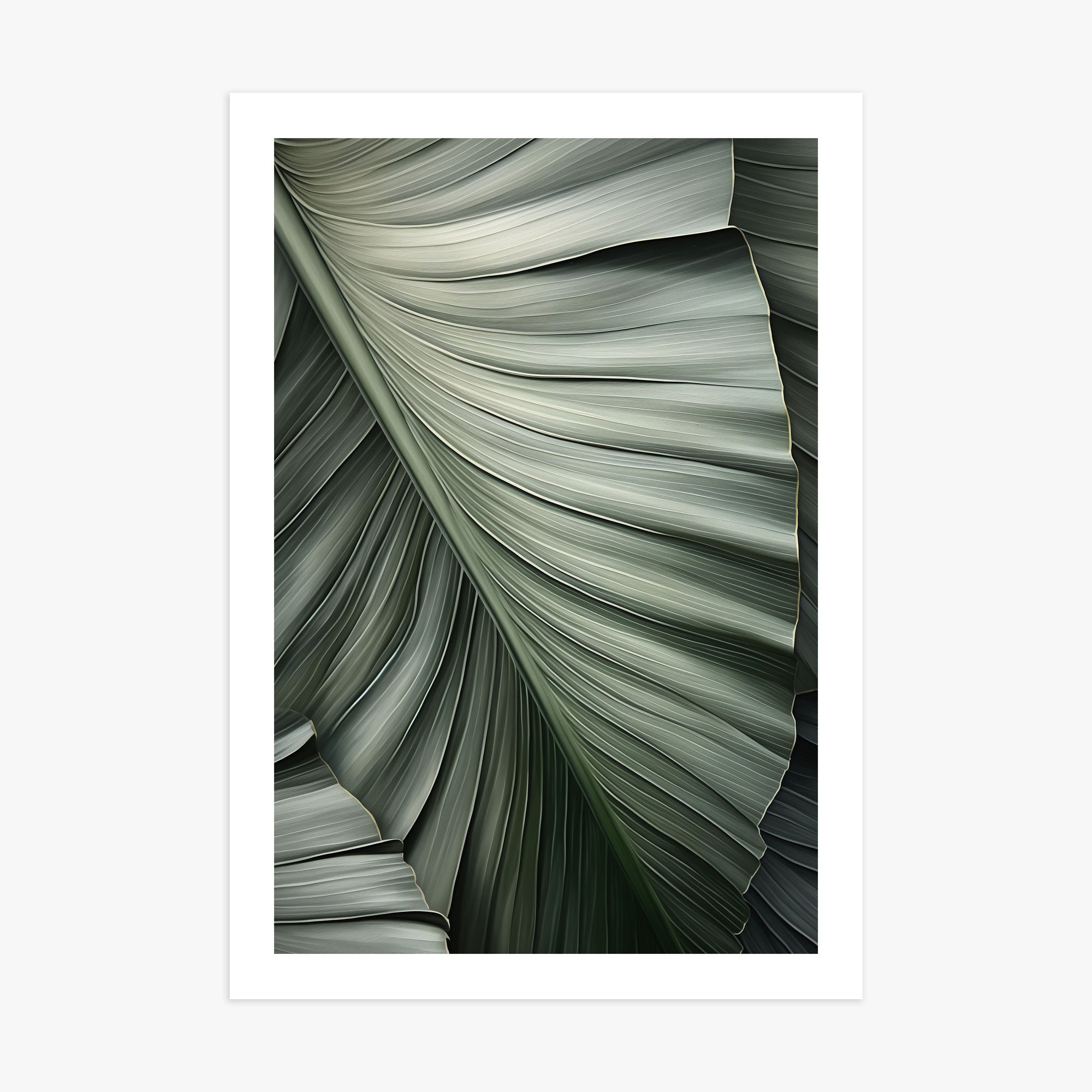 Palm Canopy, 70x100cm Poster Unframed