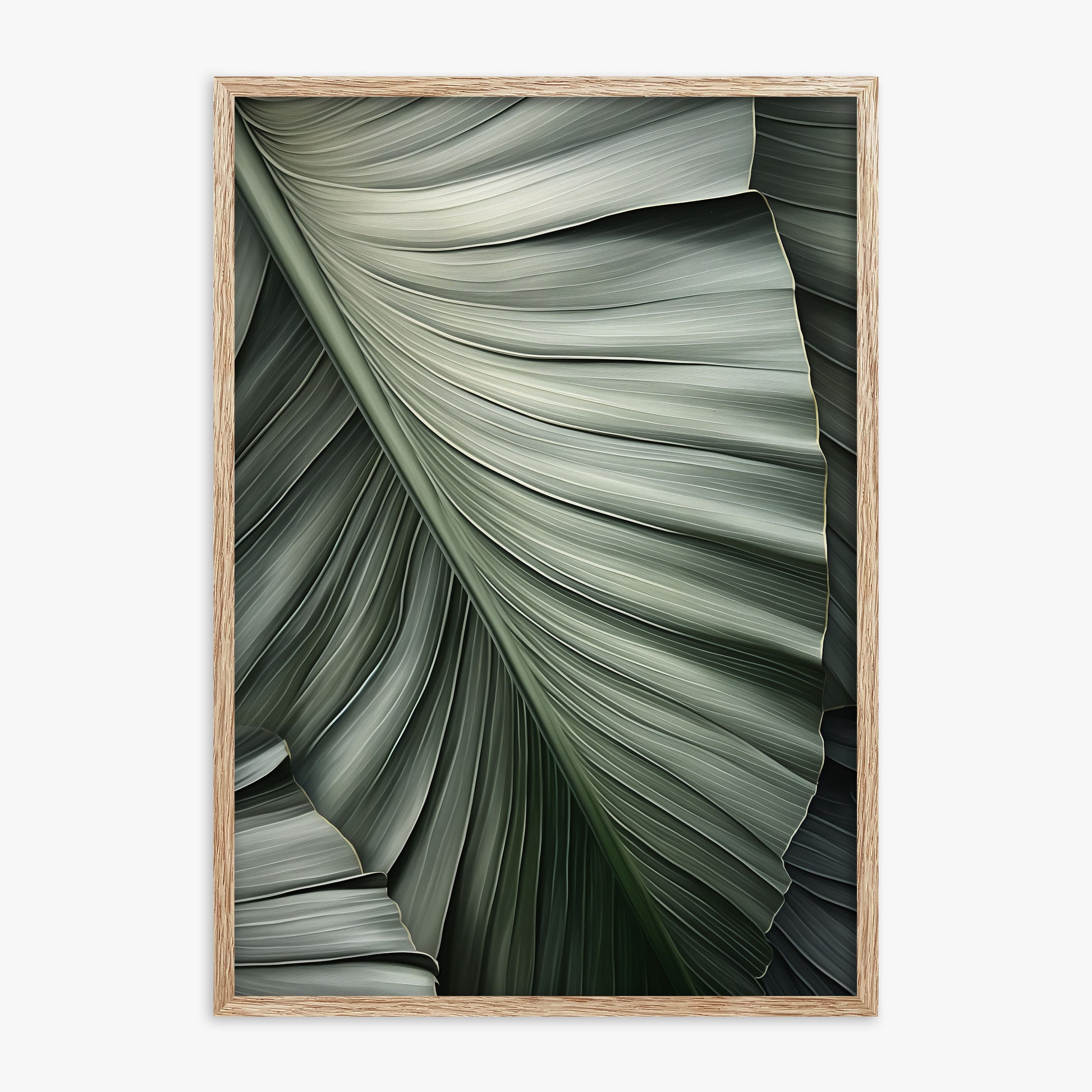 Palm Canopy, 70x100cm Framed Poster With Raw Oak Frame