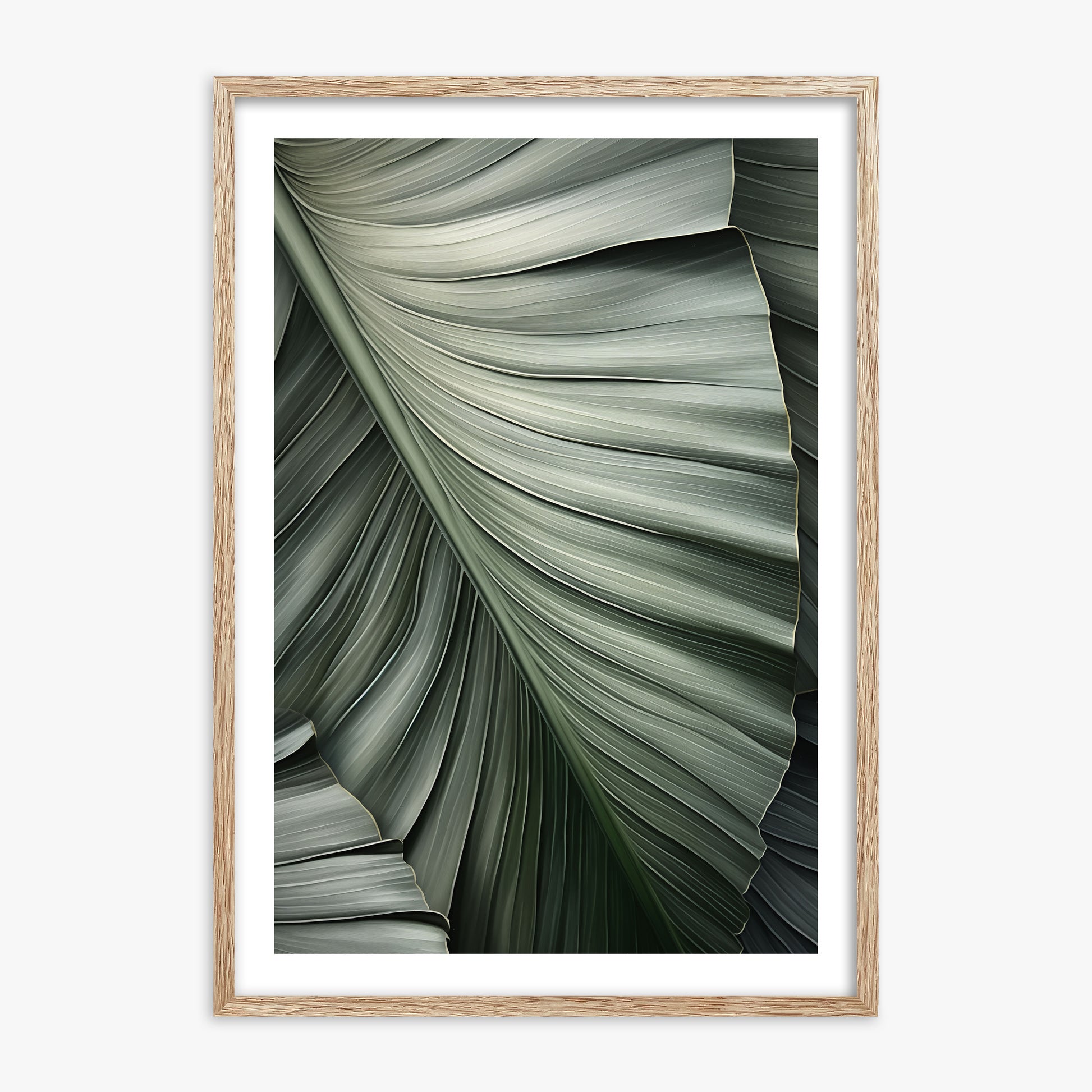 Palm Canopy, 70x100cm Framed Poster With Raw Oak Frame