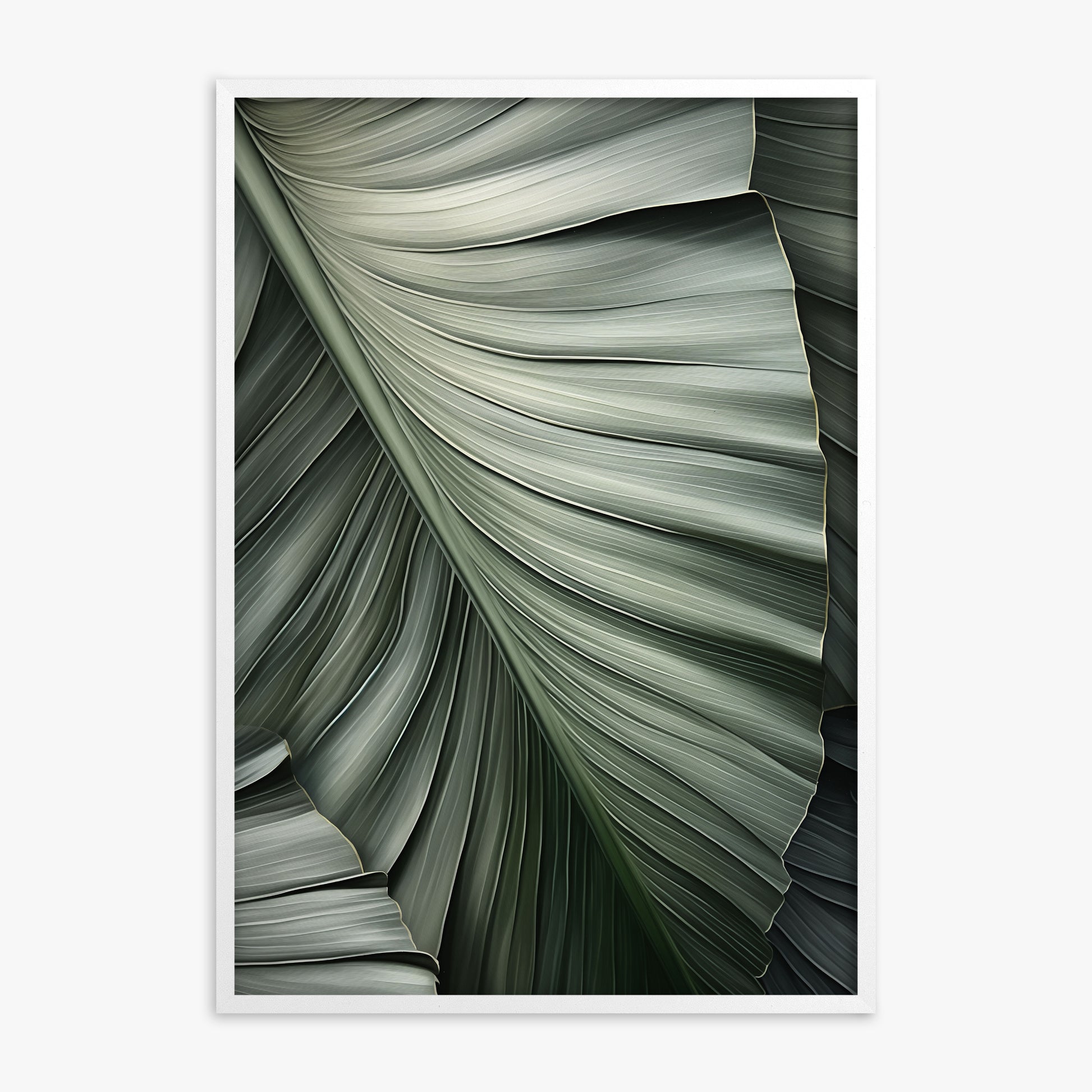 Palm Canopy, White Framed Poster With White Frame
