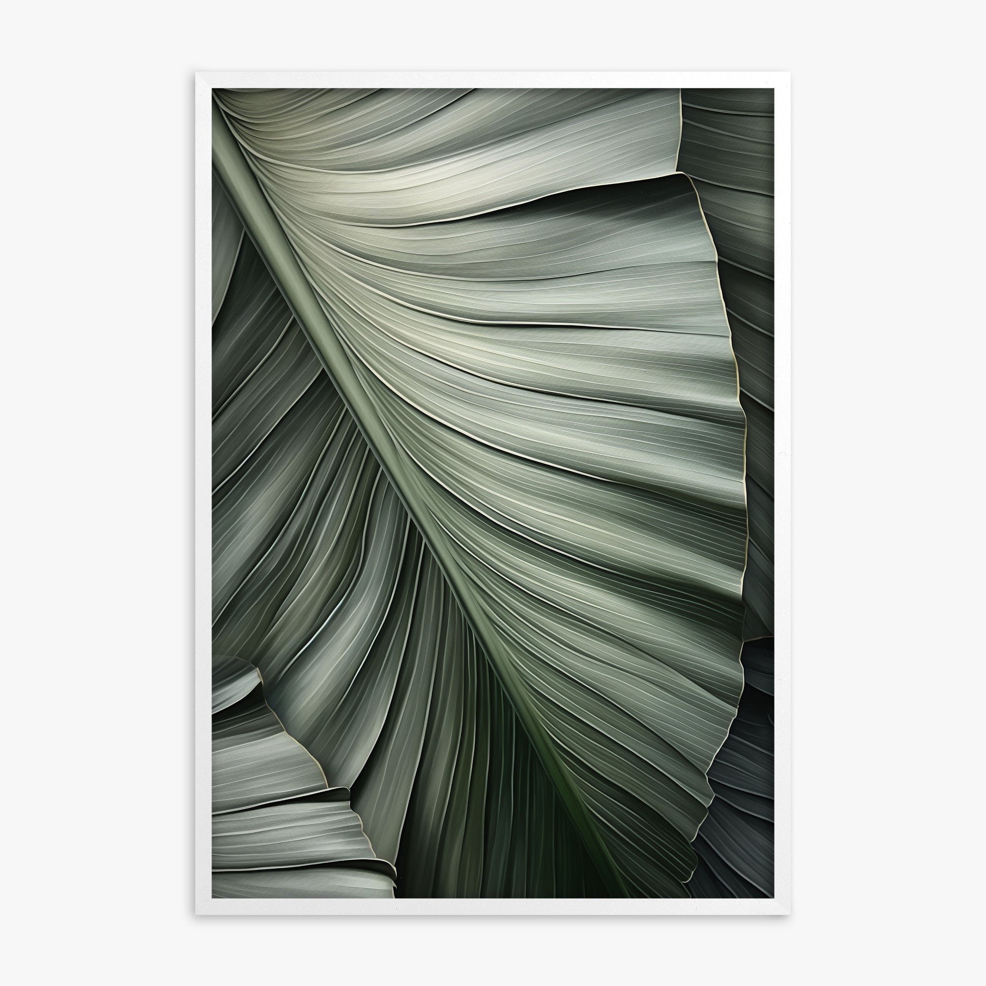 Palm Canopy, White Framed Poster With White Frame