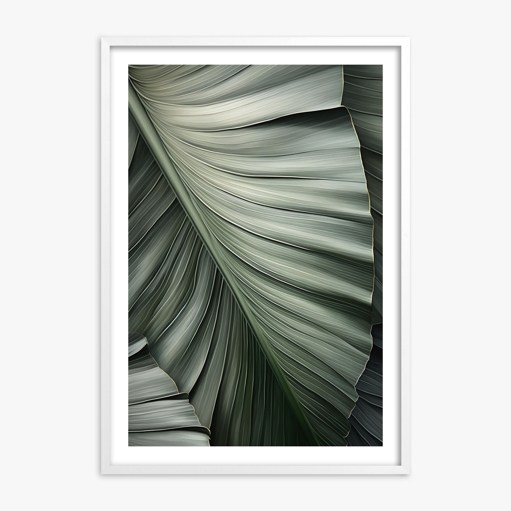Palm Canopy, 70x100cm Framed Poster With White Frame