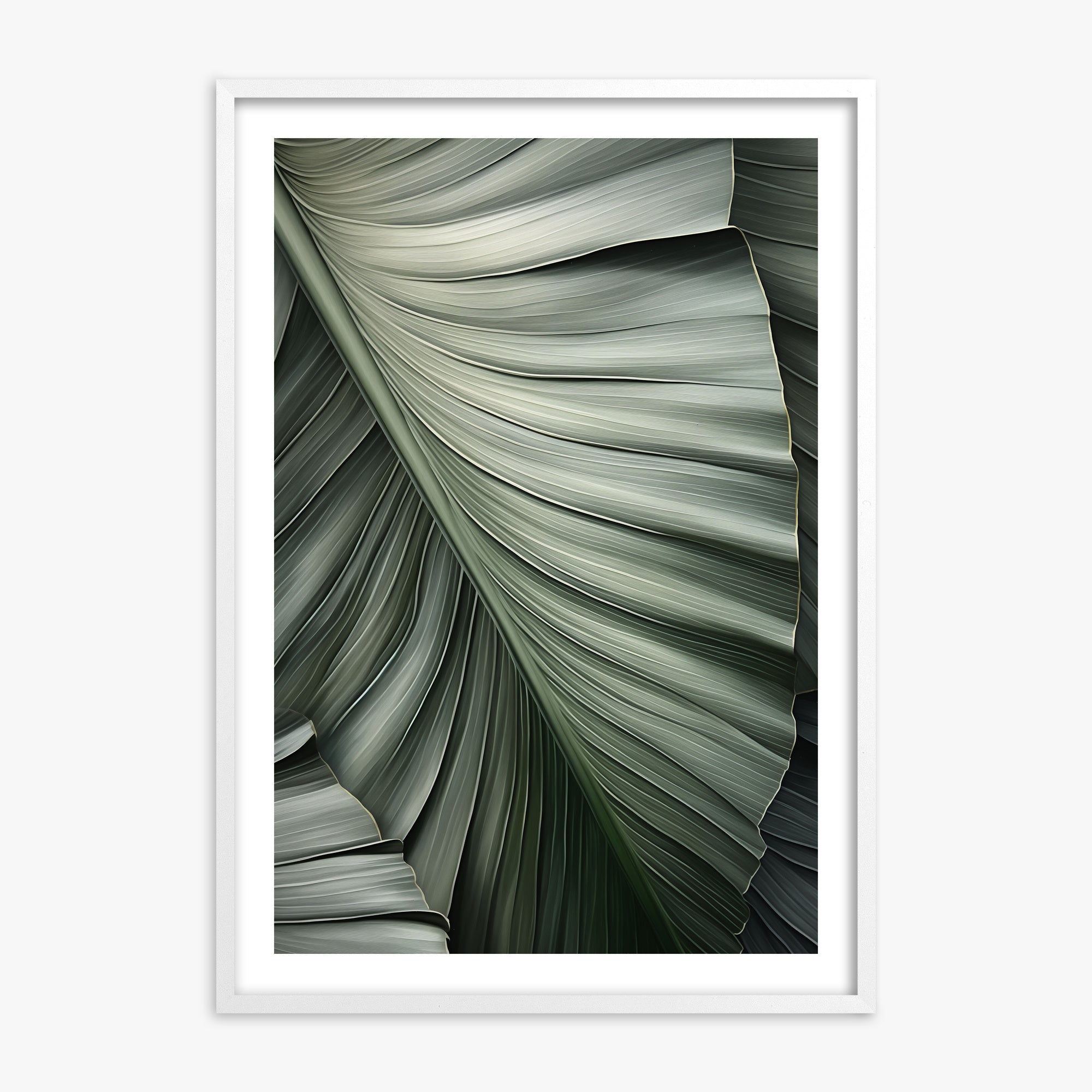 Palm Canopy, 70x100cm Framed Poster With White Frame
