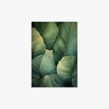 Emerald Tropics, 21x30cm Art Reproduction Unframed