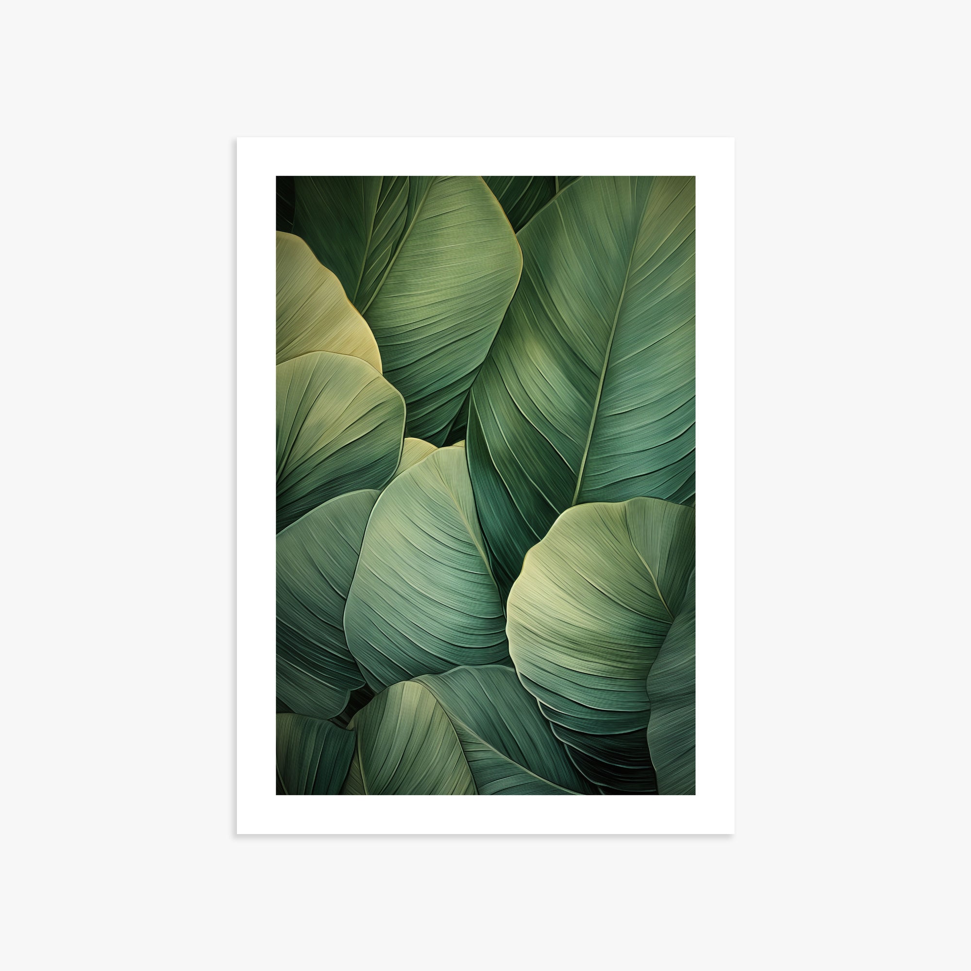 Emerald Tropics, 50x70cm Printed Poster
