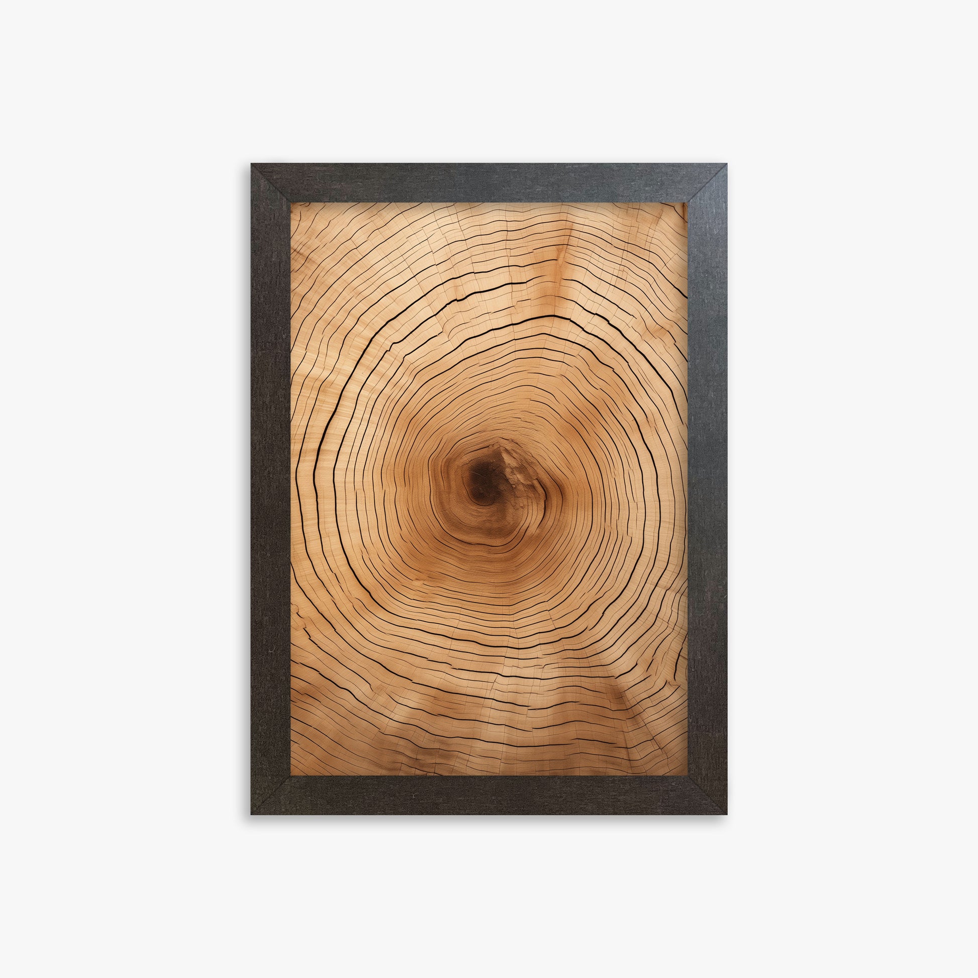 Time Rings, 21x30cm Framed Art Reproduction With Espresso Frame