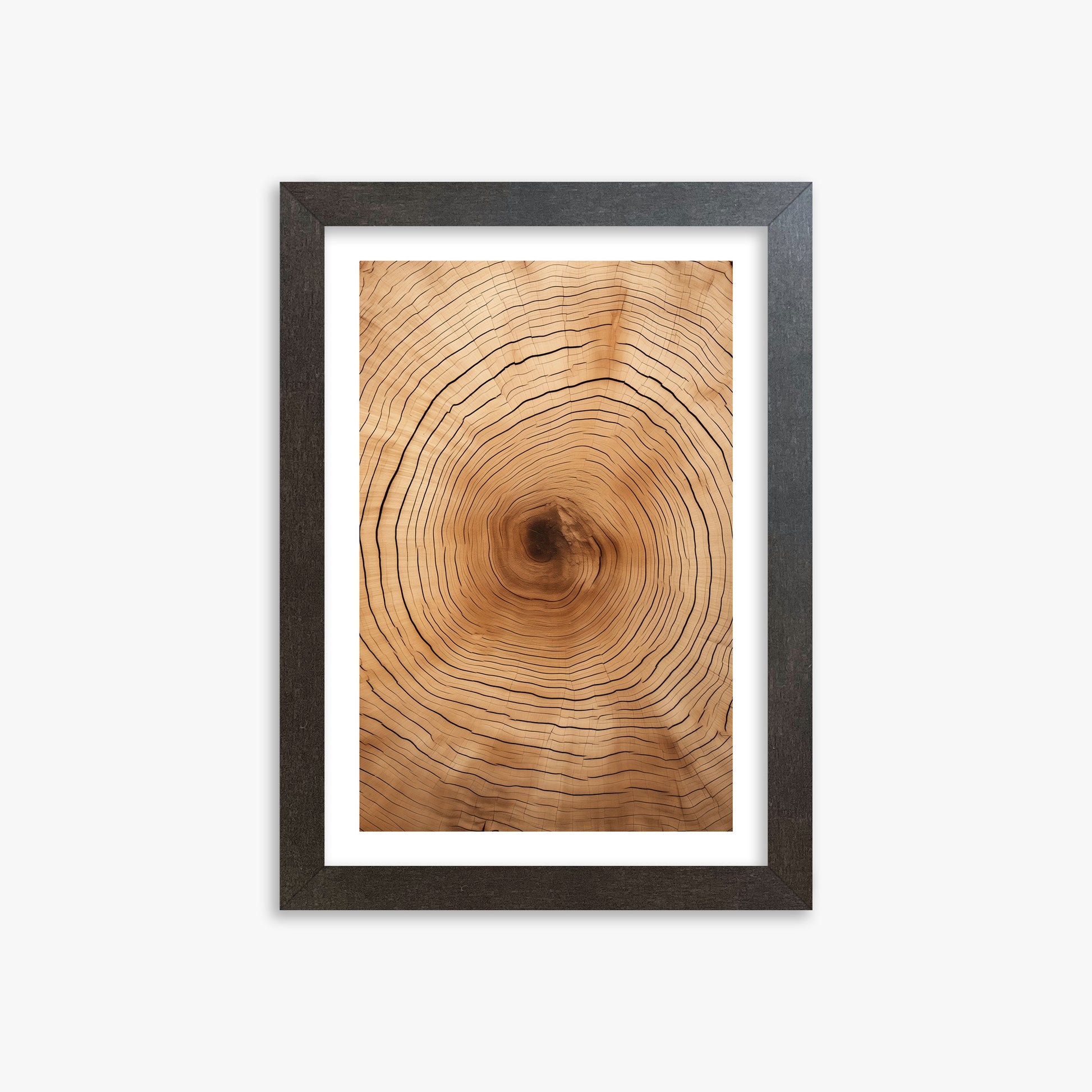 Time Rings, 21x30cm Framed Art Reproduction With Espresso Frame