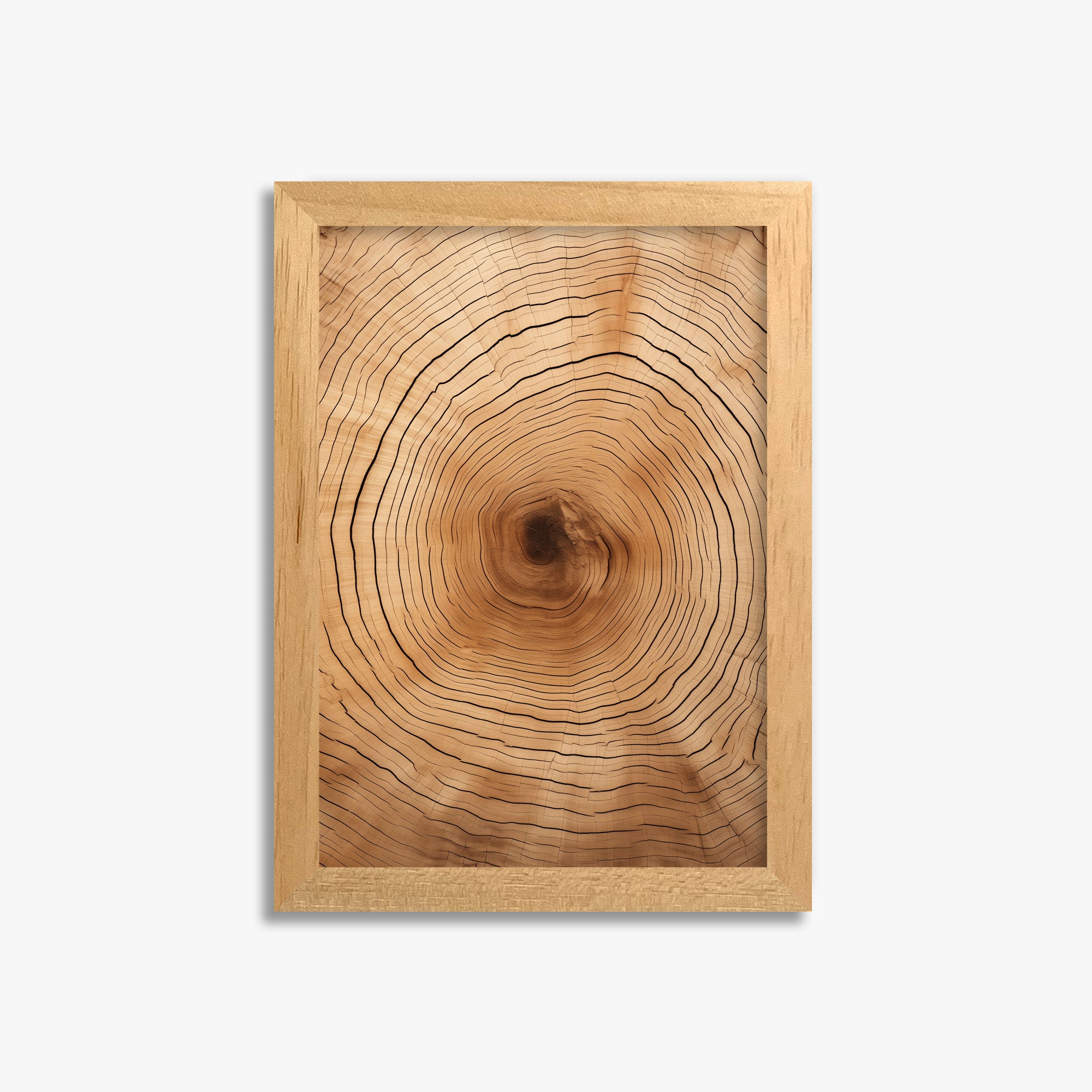 Time Rings, 21x30cm Framed Poster With Oak Frame