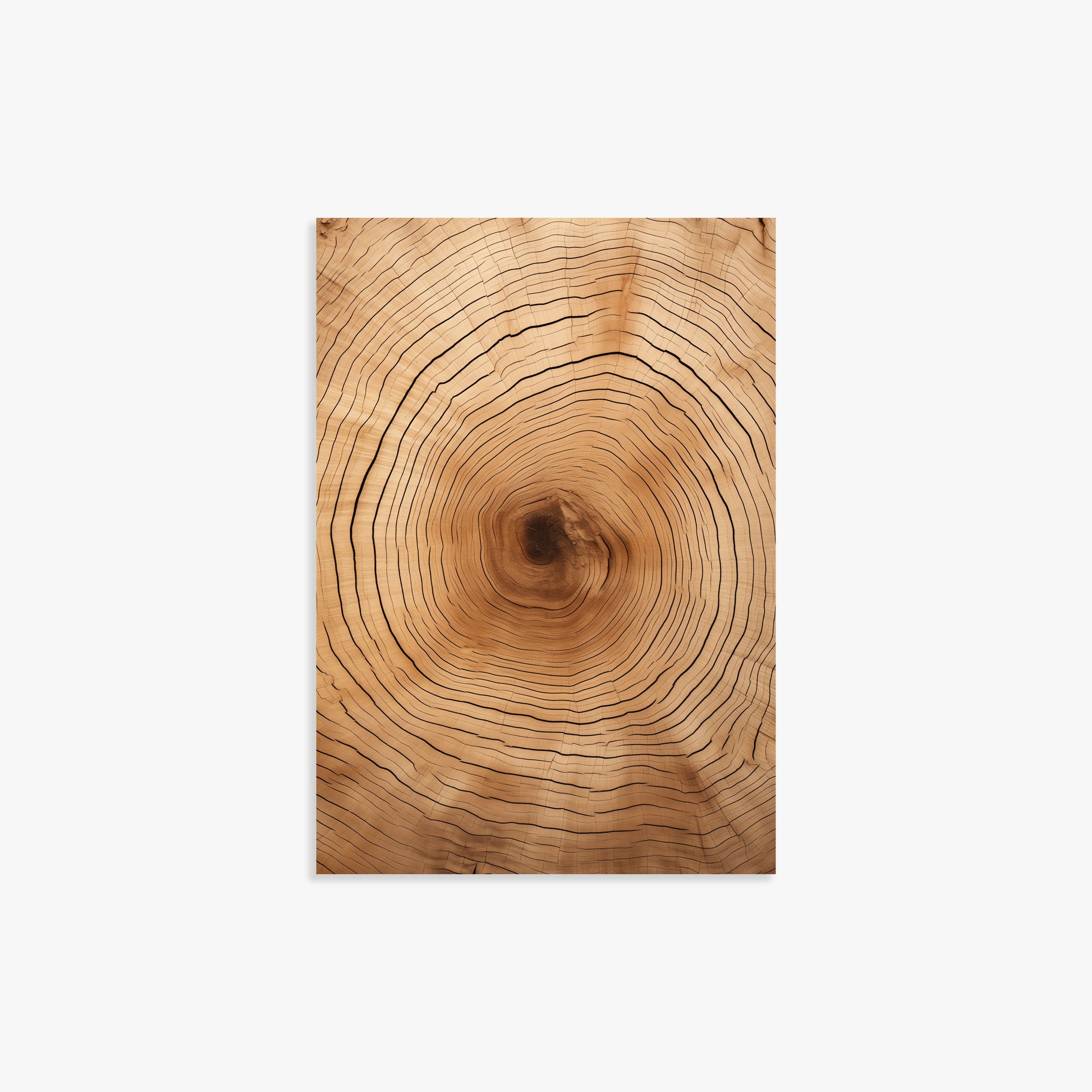 Time Rings, 21x30cm Poster Unframed