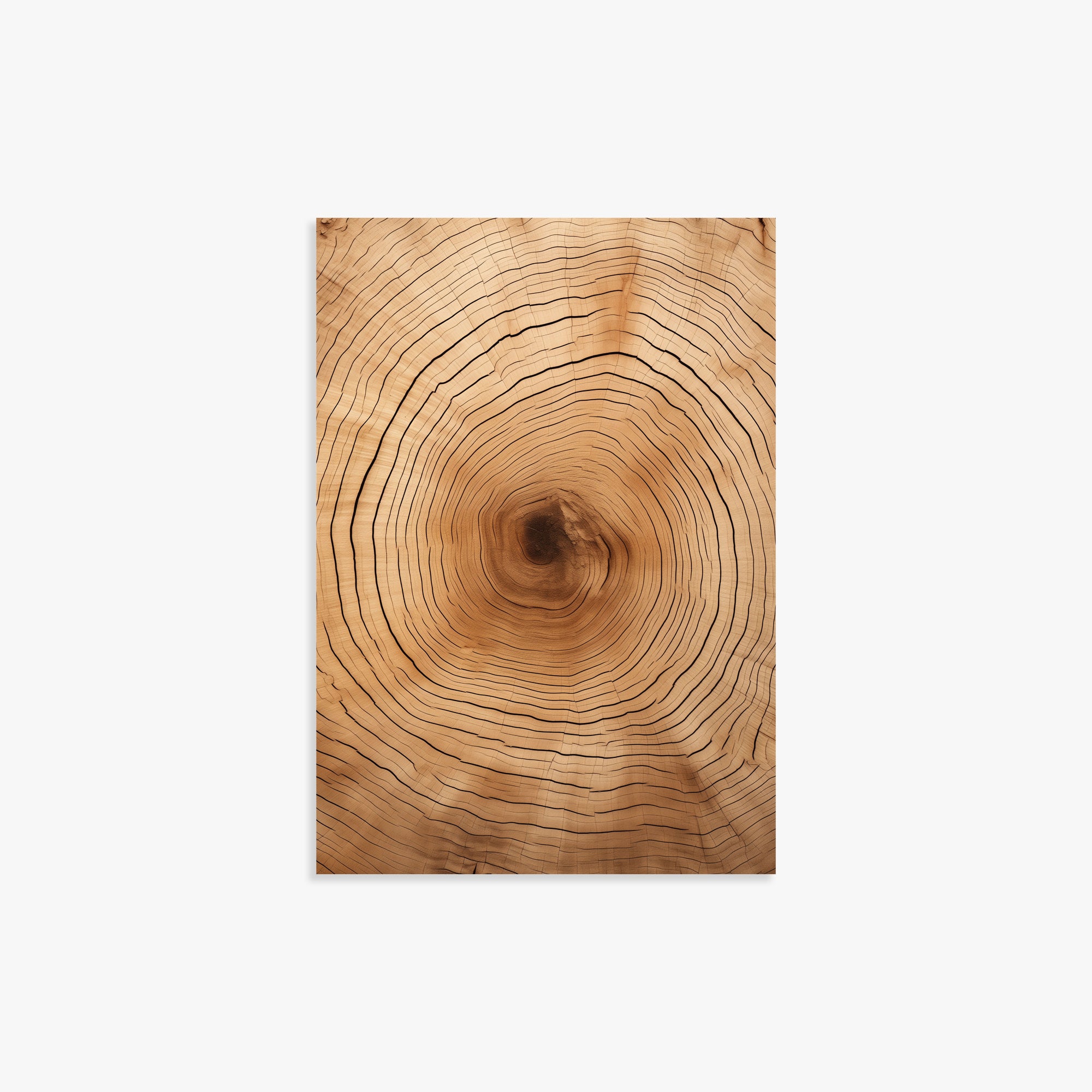Time Rings, 21x30cm Poster Unframed