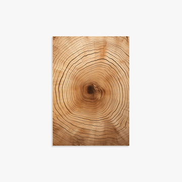 Time Rings, 21x30cm Art Reproduction Unframed