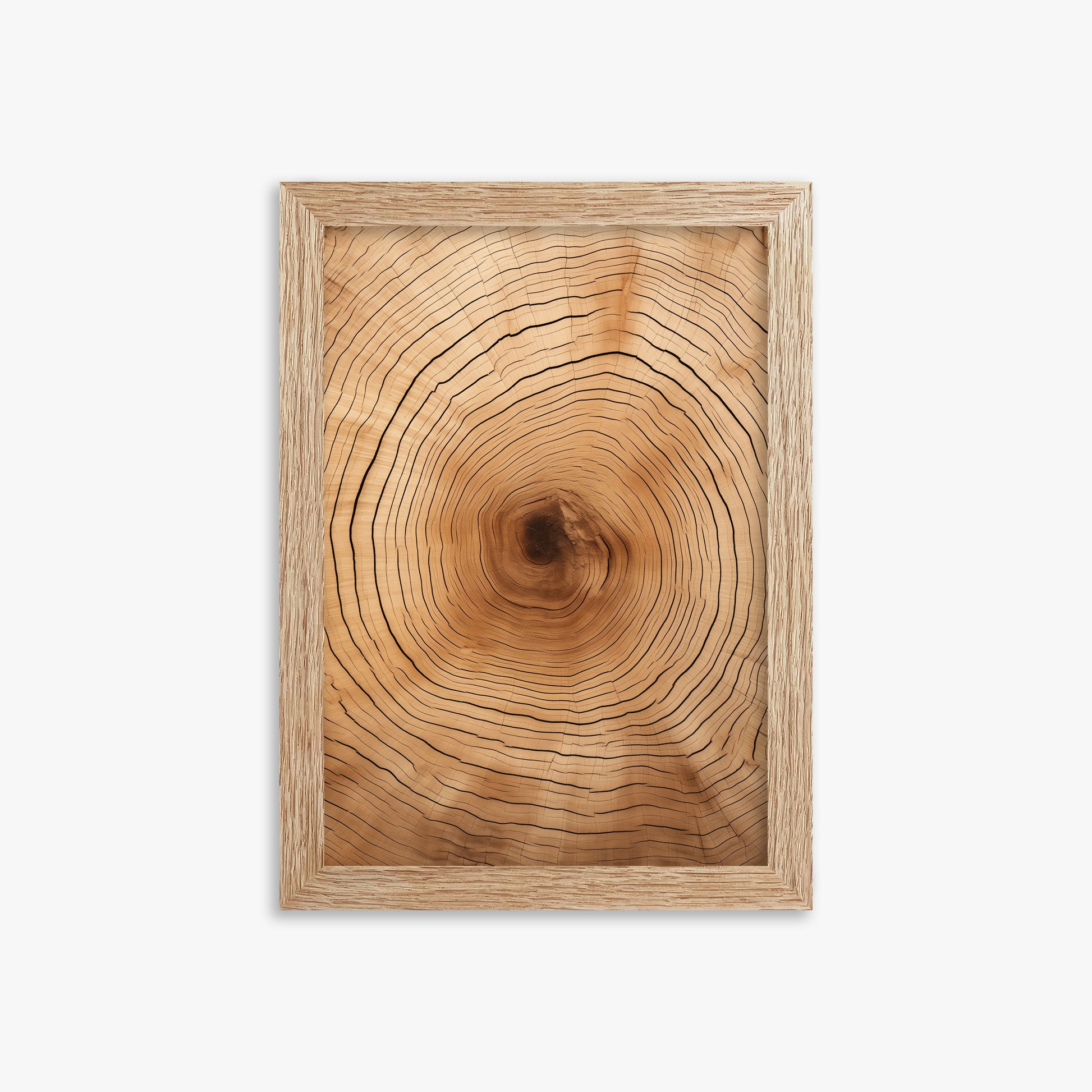 Time Rings, 21x30cm Framed Art Reproduction With Raw Oak Frame