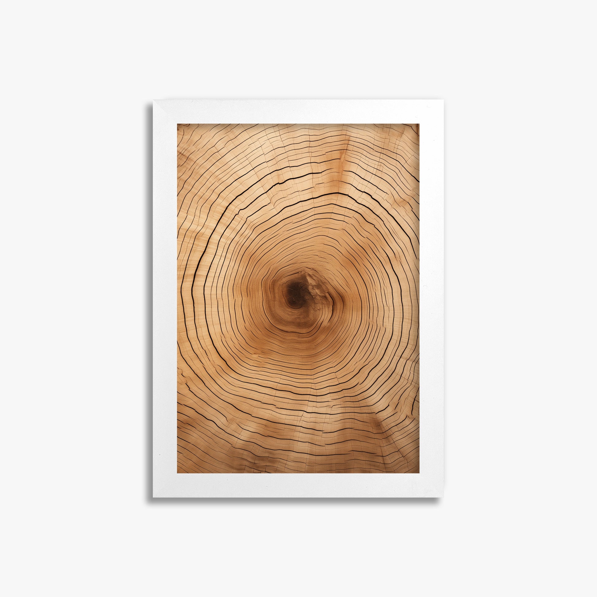 Time Rings, 21x30cm Framed Poster With White Frame