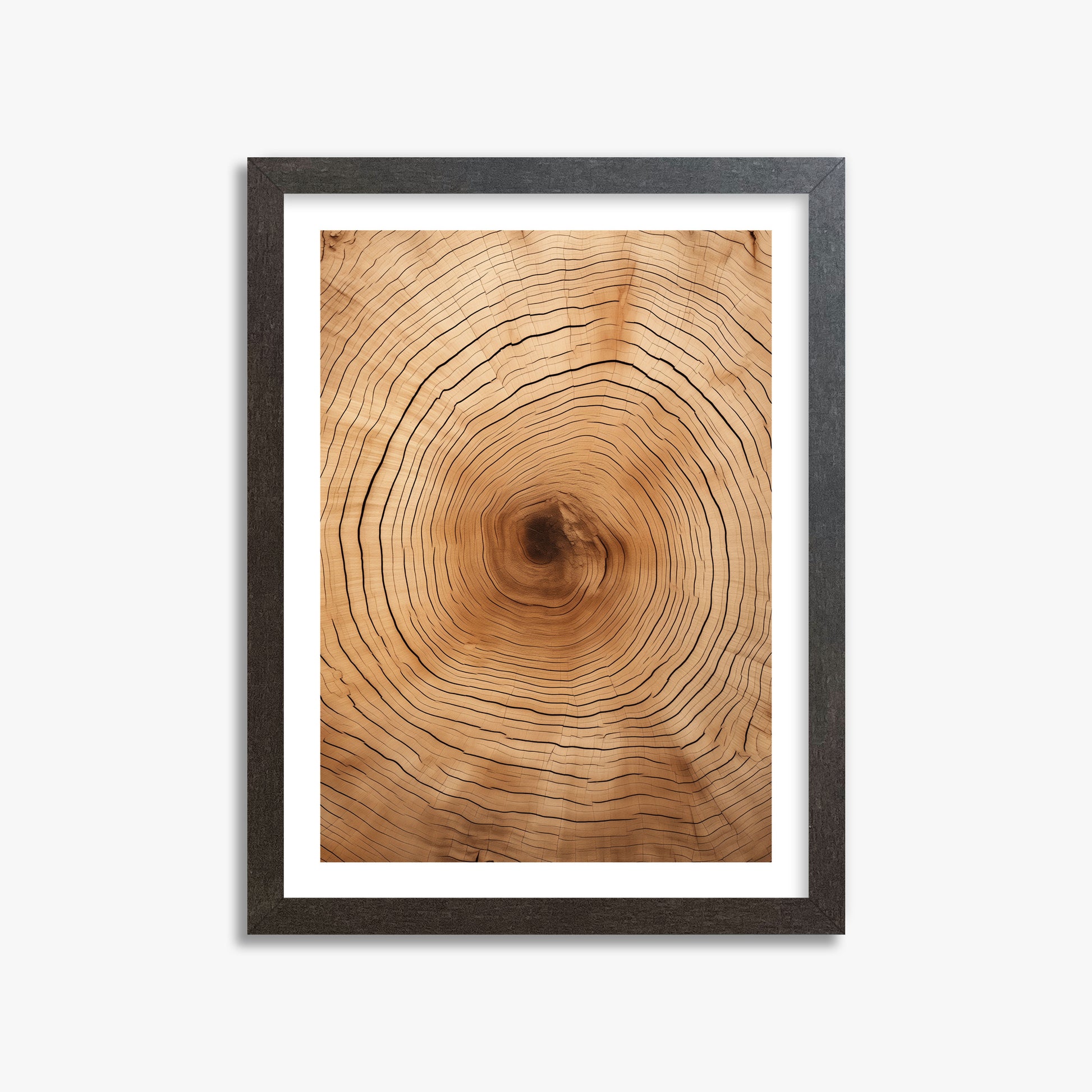 Time Rings, 30x40cm Framed Art Reproduction With Espresso Frame