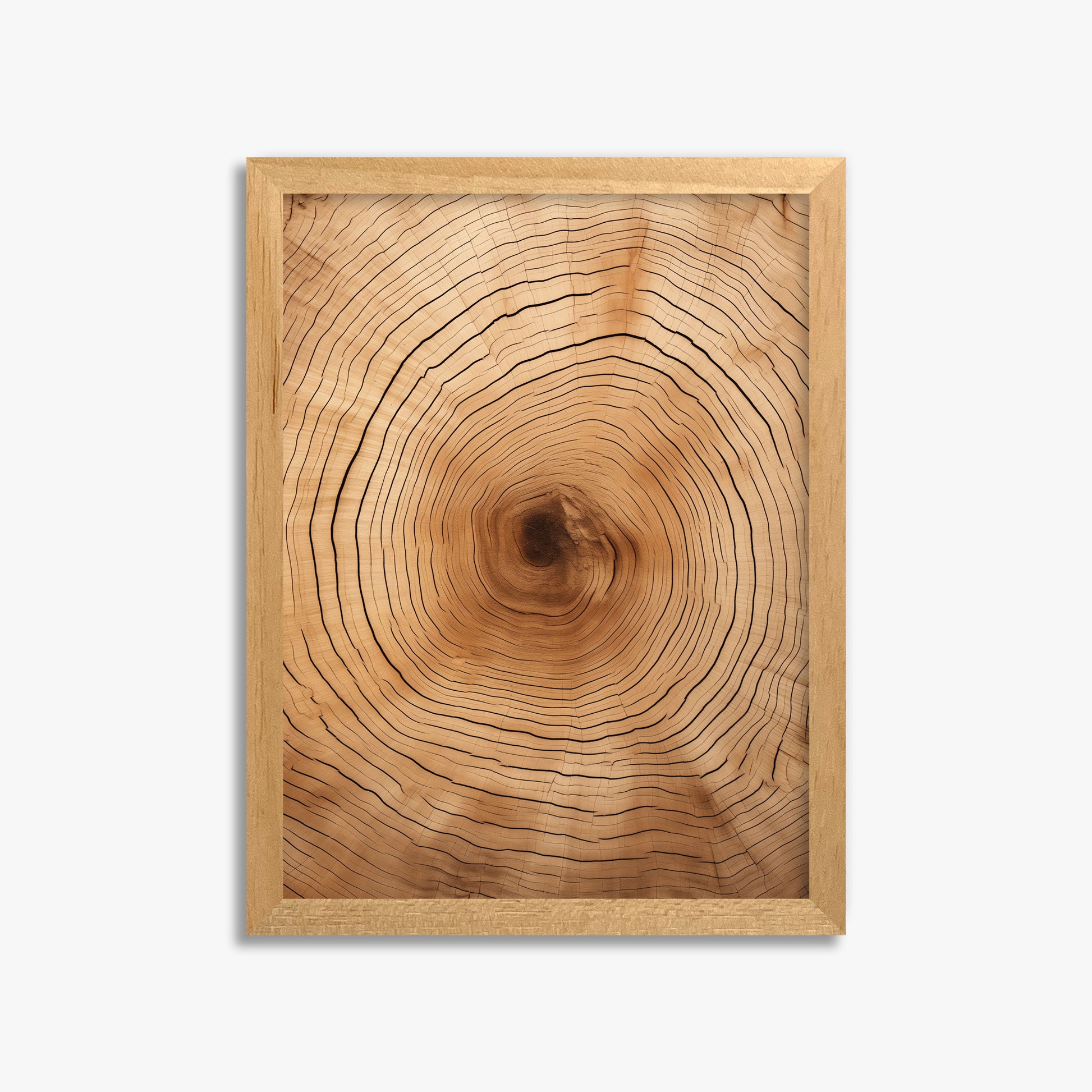 Time Rings, 30x40cm Framed Poster With Oak Frame