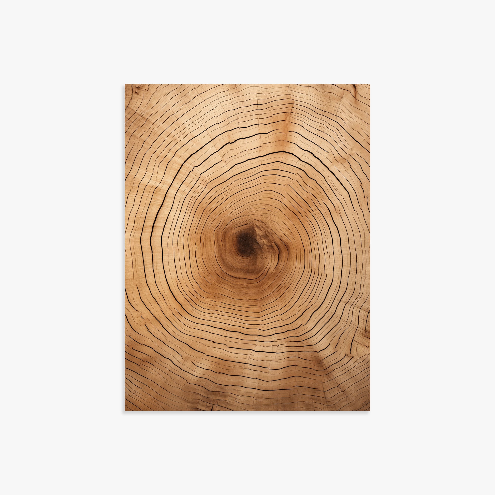 Time Rings, 30x40cm Poster Unframed