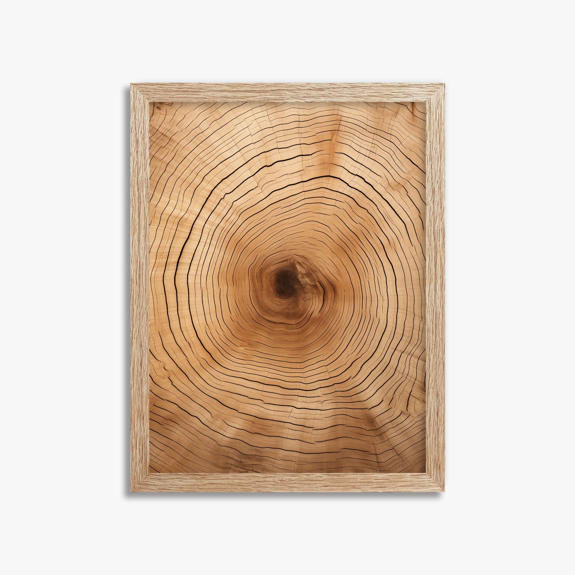 Time Rings, 30x40cm Framed Art Reproduction With Raw Oak Frame