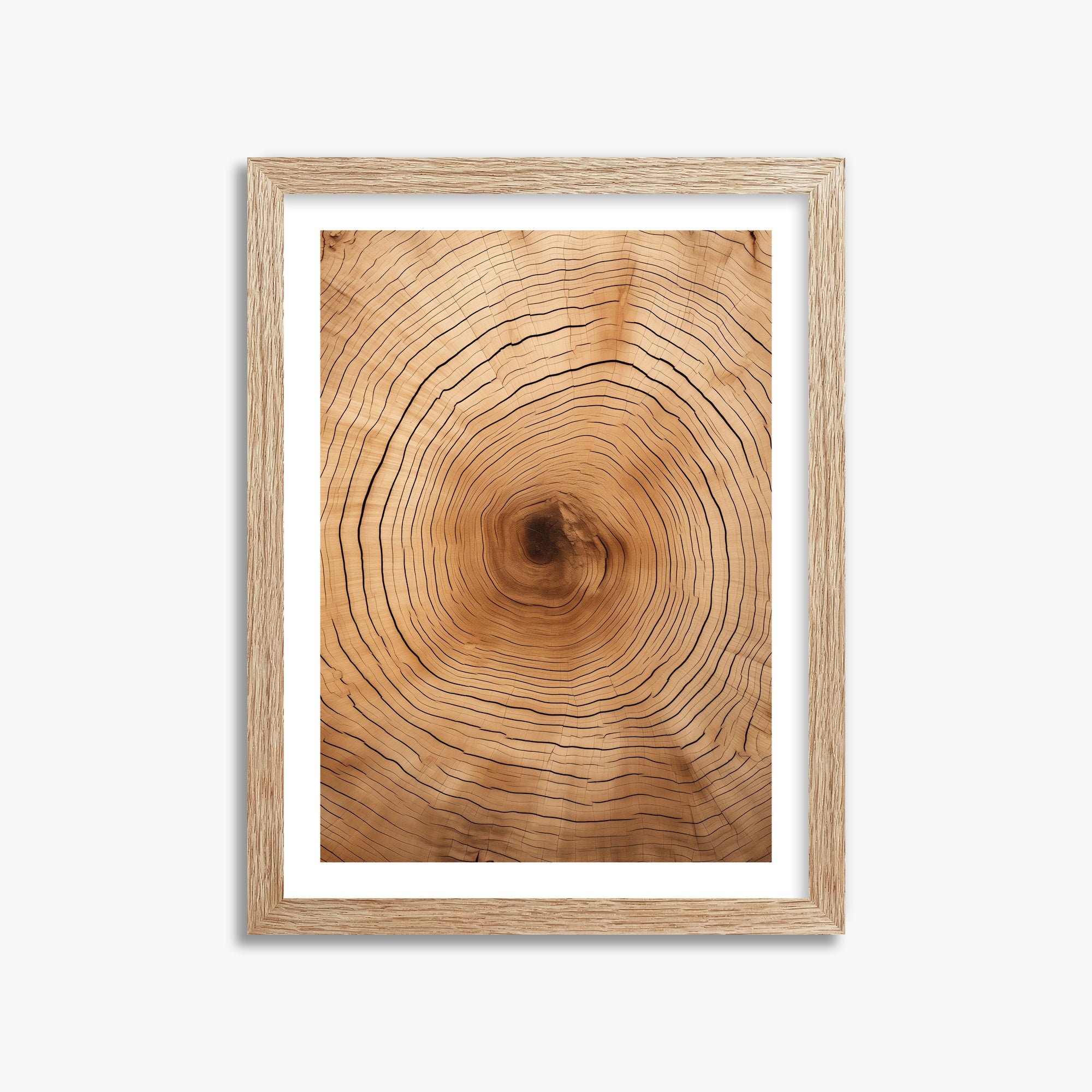 Time Rings, 30x40cm Framed Art Reproduction With Raw Oak Frame