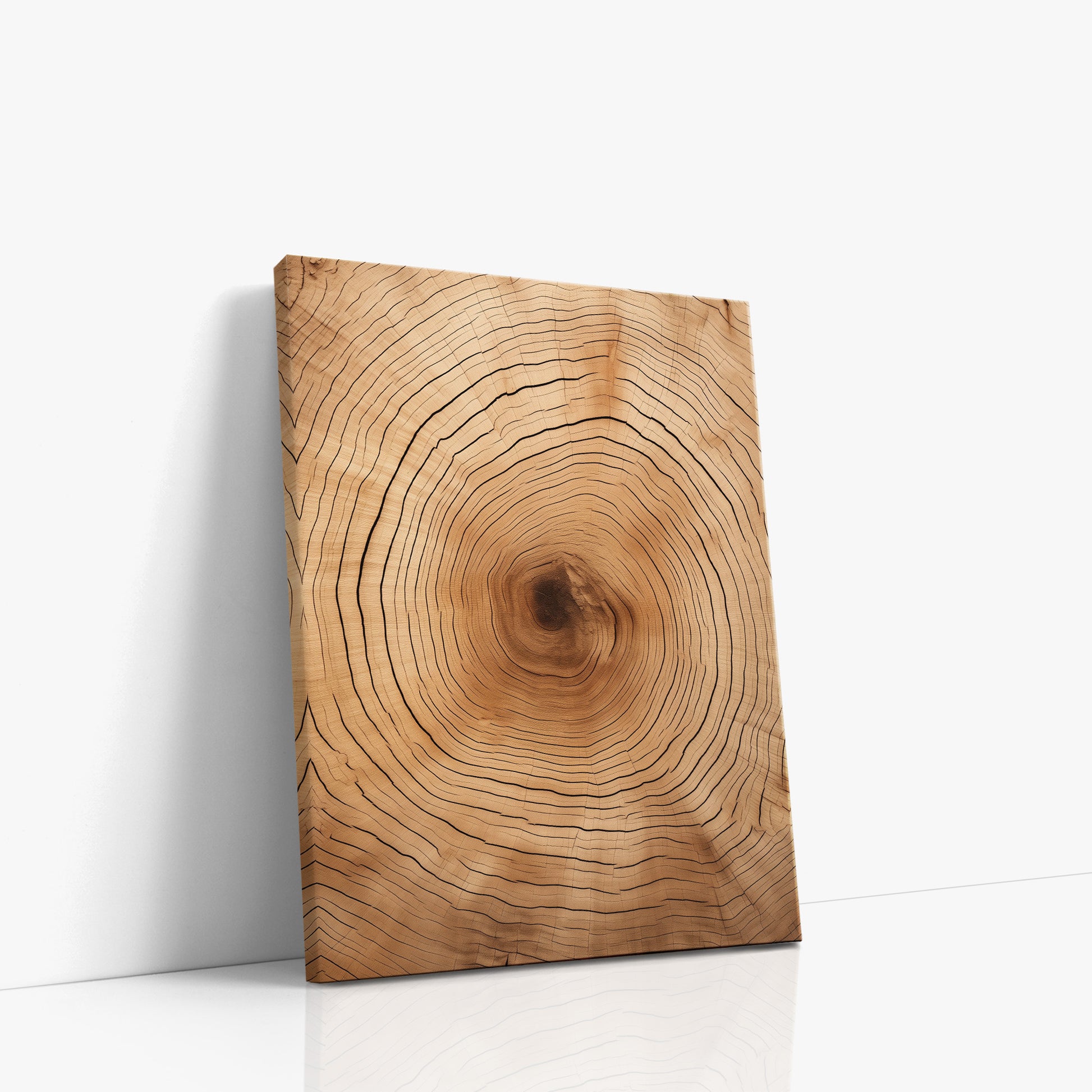 Time Rings, 30x40cm Satin Canvas Art Reproduction Left Angle