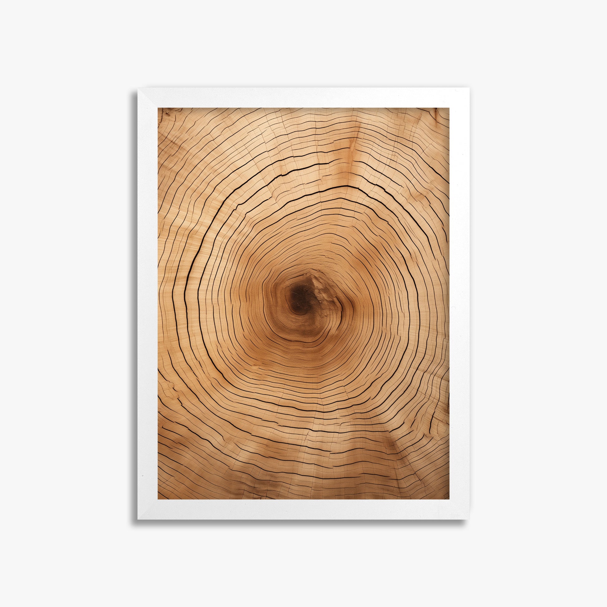 Time Rings, 30x40cm Framed Poster With White Frame