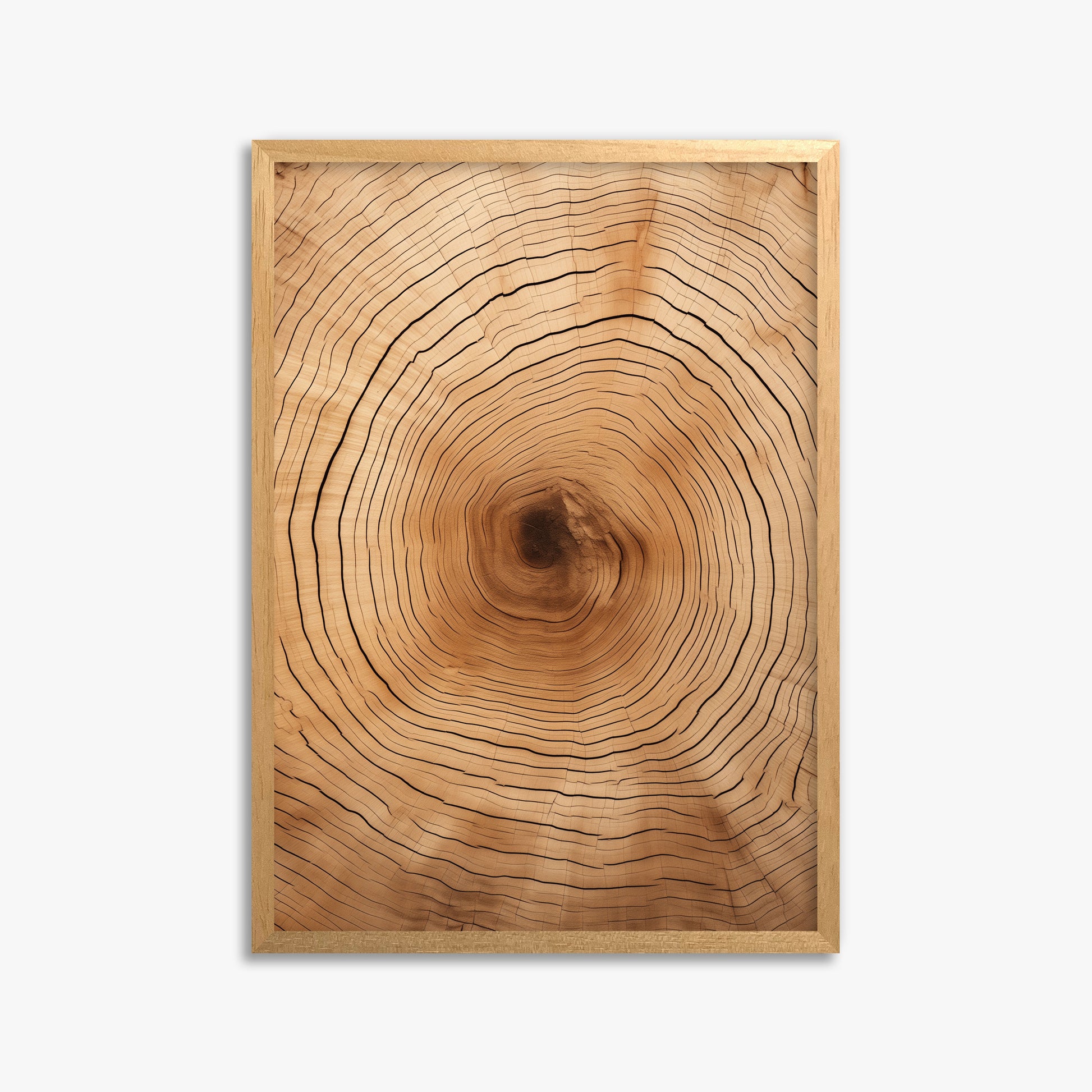 Time Rings, 50x70cm Framed Poster With Oak Frame
