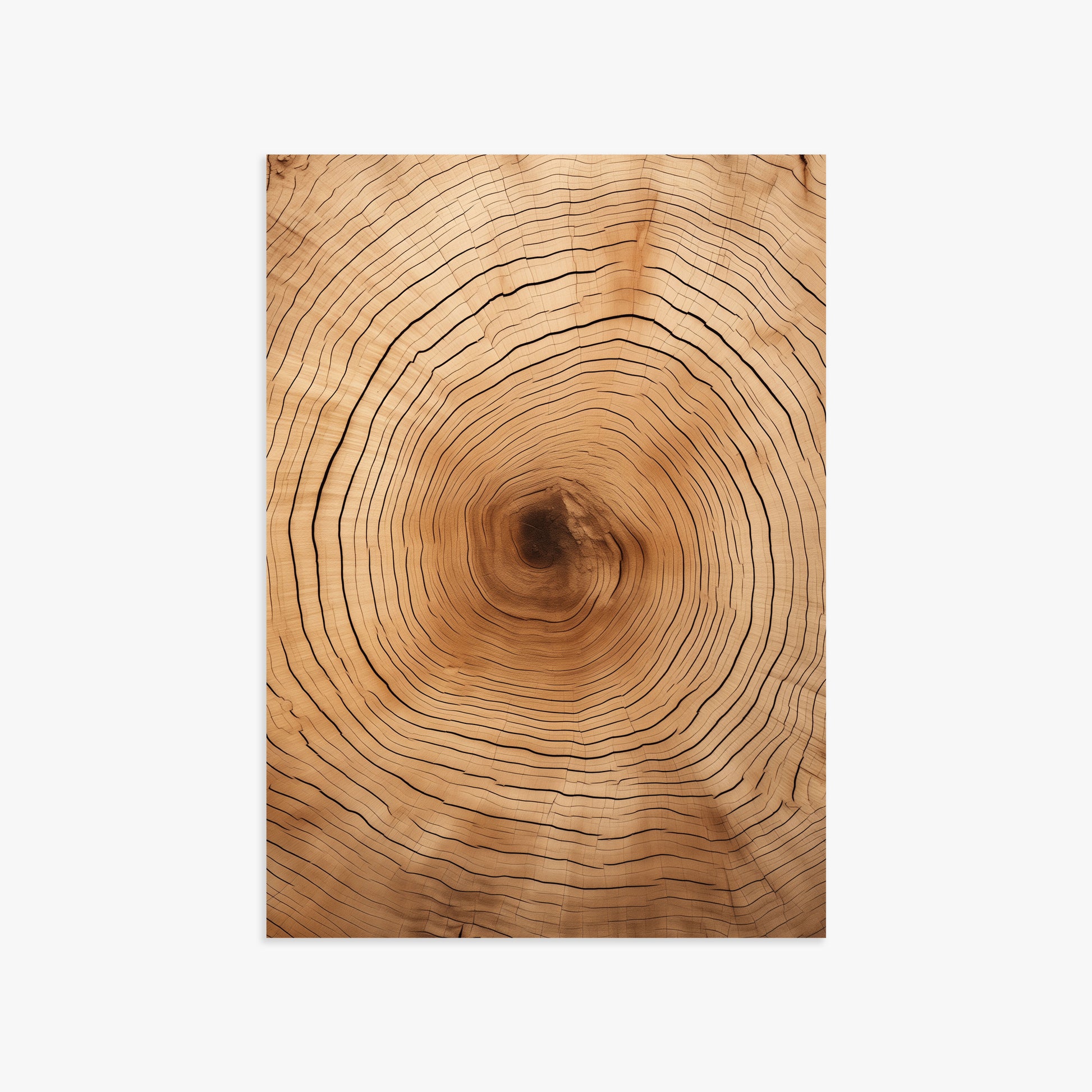 Time Rings, 50x70cm Poster Unframed