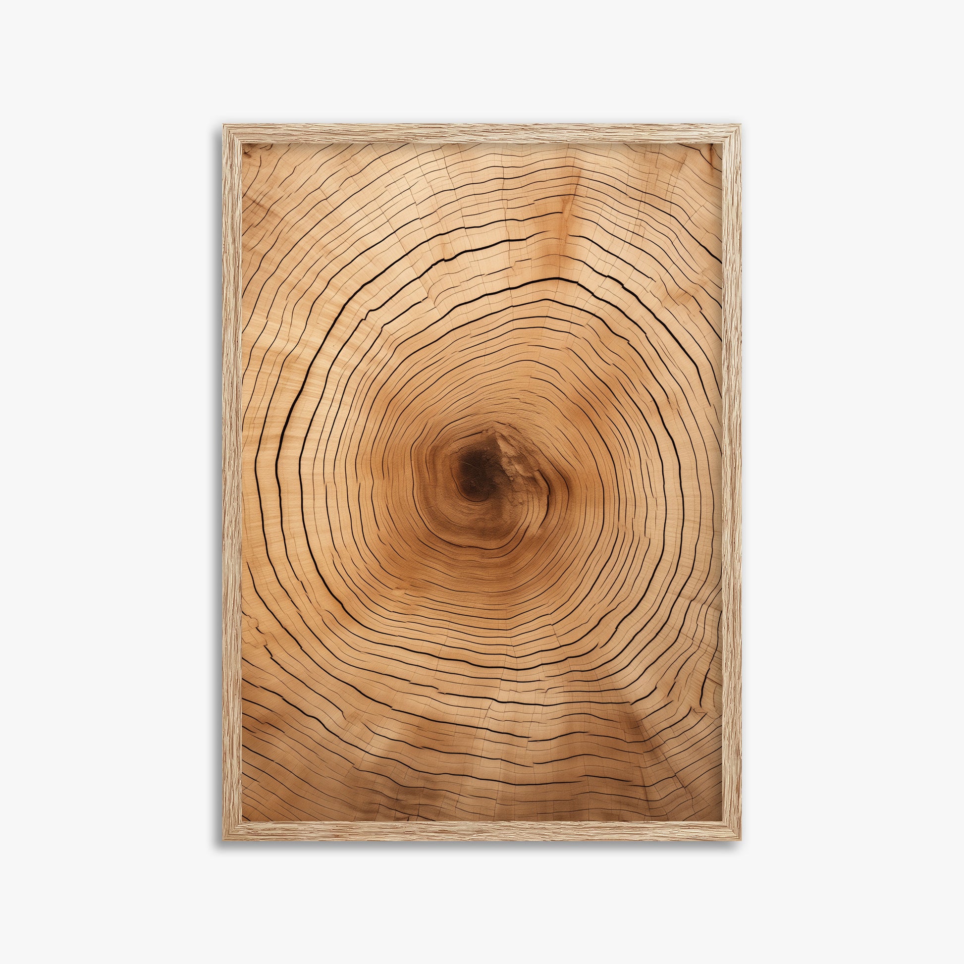 Time Rings, 50x70cm Framed Art Reproduction With Raw Oak Frame