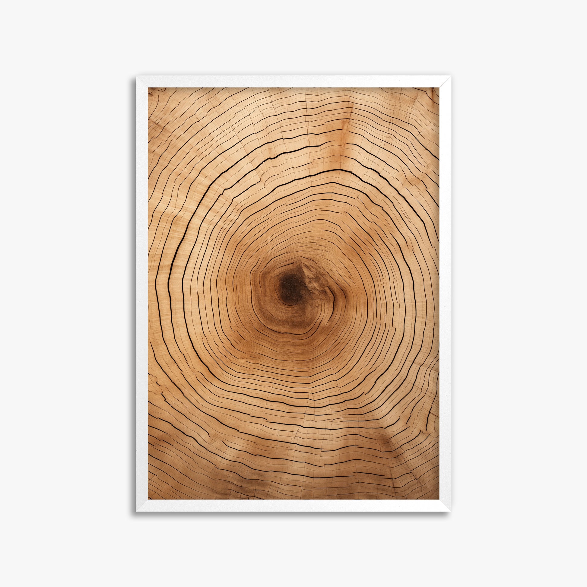 Time Rings, 50x70cm Framed Poster With White Frame