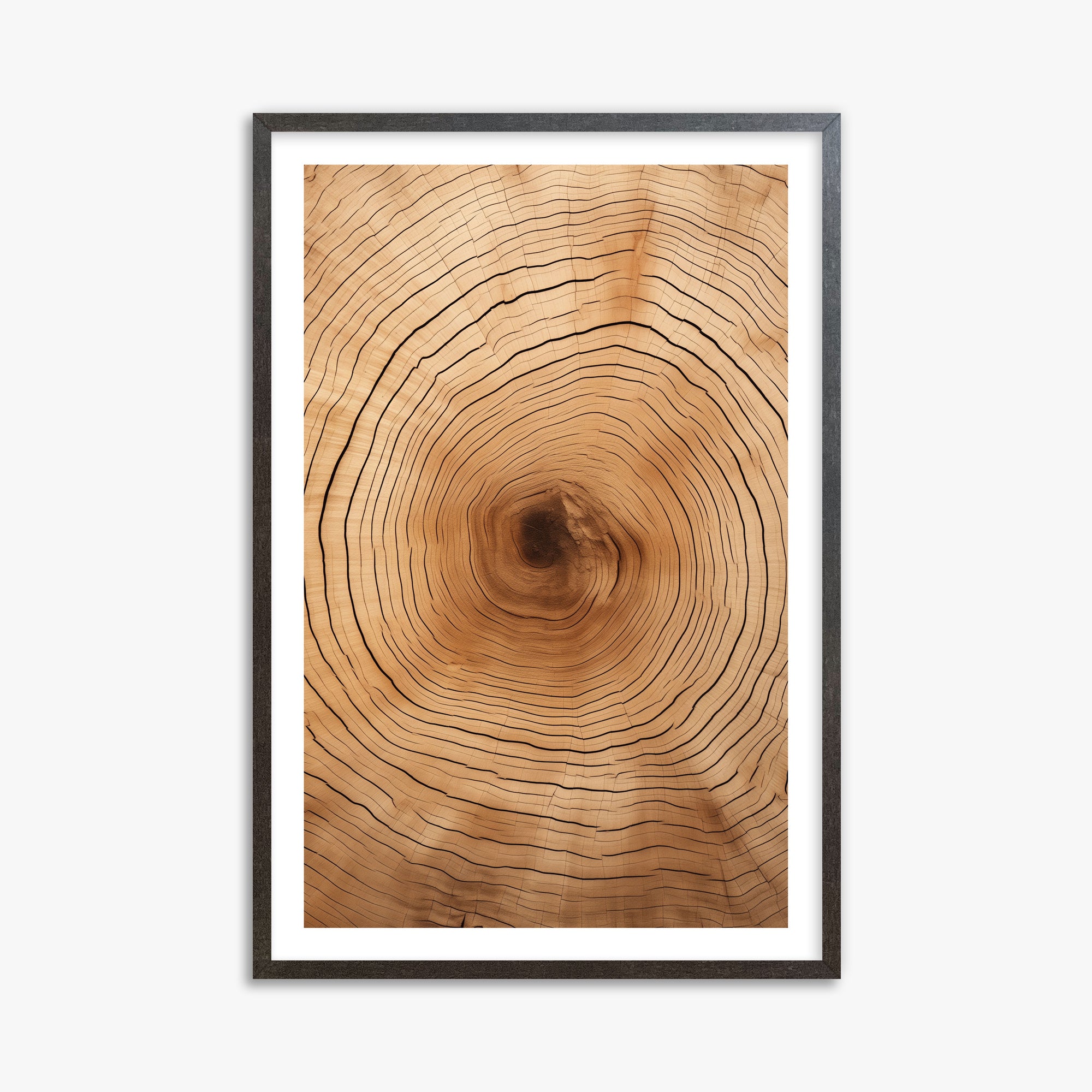 Time Rings, 61x91cm Framed Art Reproduction With Espresso Frame