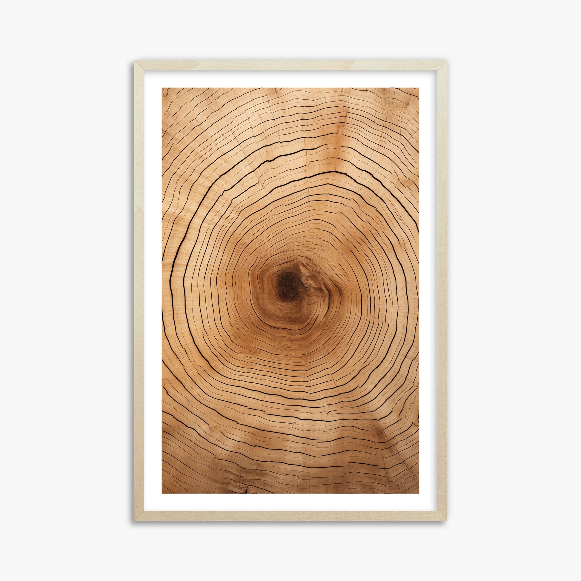 Time Rings, 61x91cm Framed Art Reproduction With Lime Wood Frame