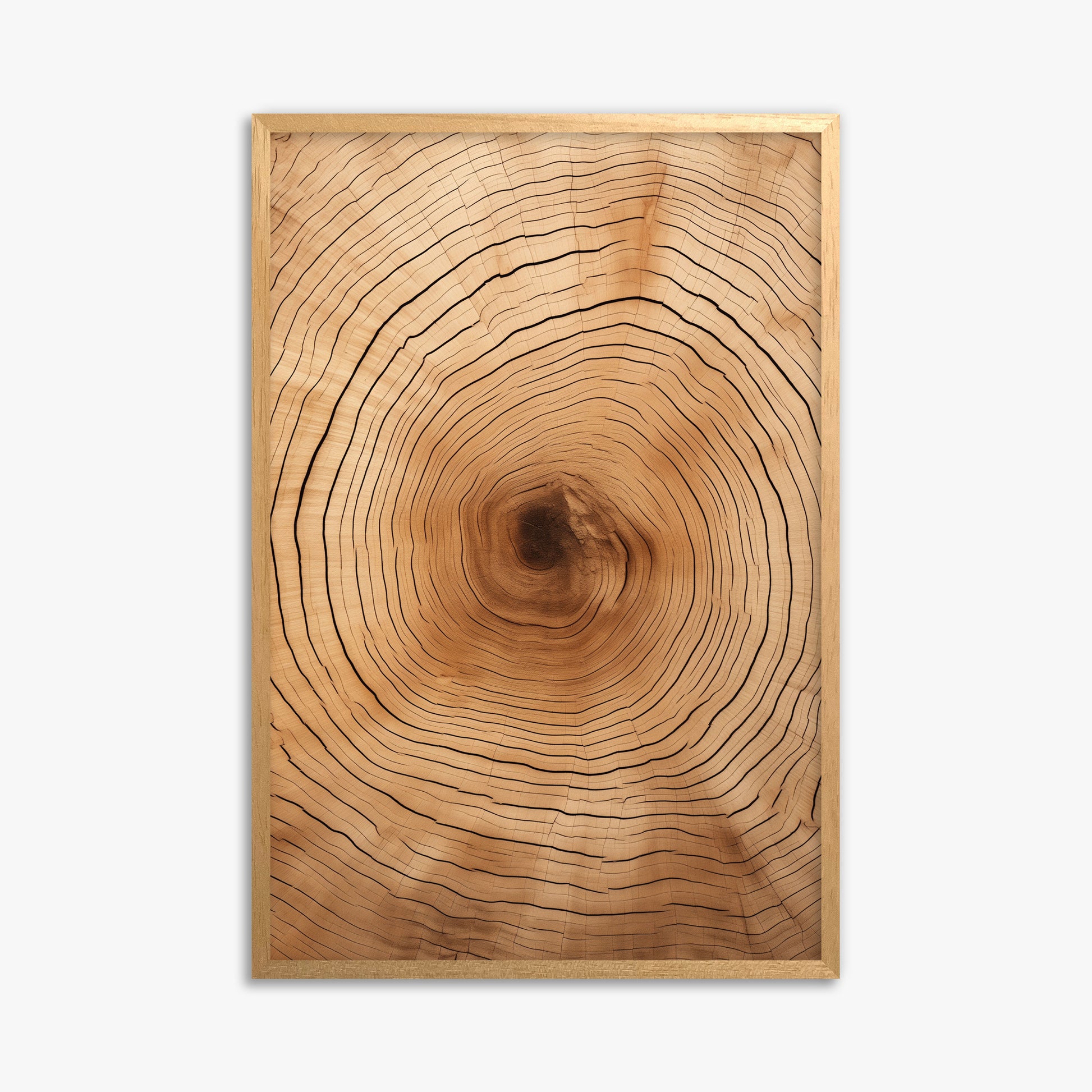 Time Rings, 61x91cm Framed Poster With Oak Frame