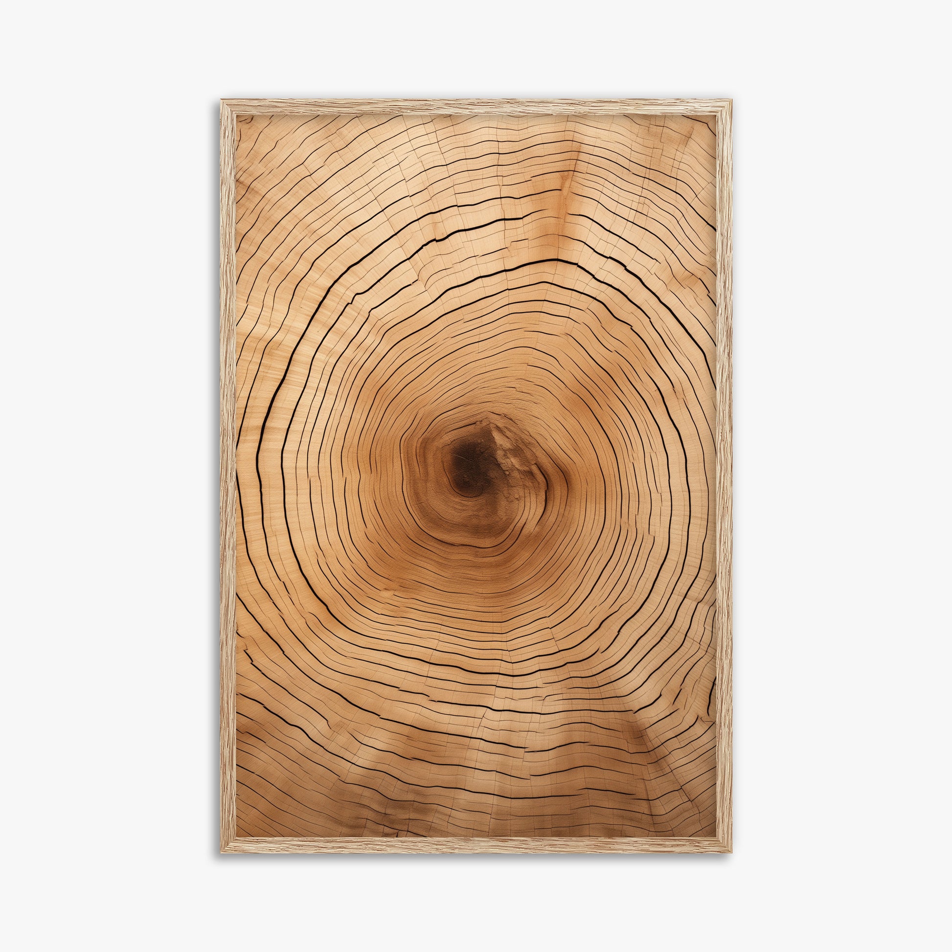 Time Rings, 61x91cm Framed Art Reproduction With Raw Oak Frame