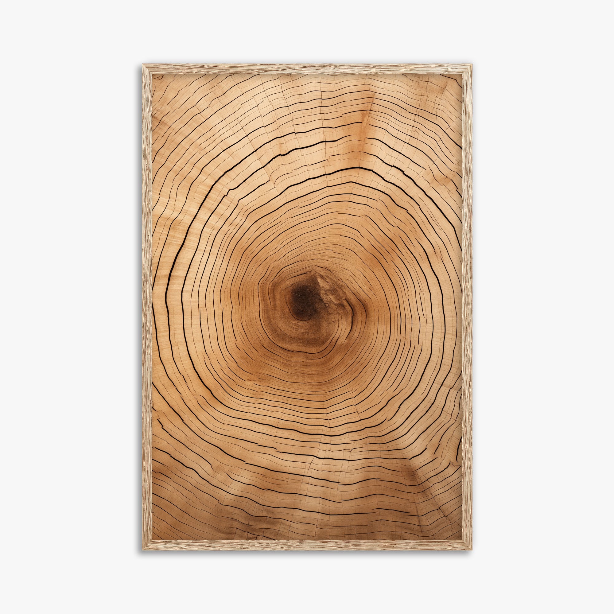 Time Rings, 61x91cm Framed Art Reproduction With Raw Oak Frame
